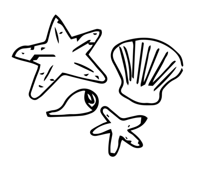 Dessin en noir et blanc de deux étoiles de mer, une coquille, et deux petits poissons.