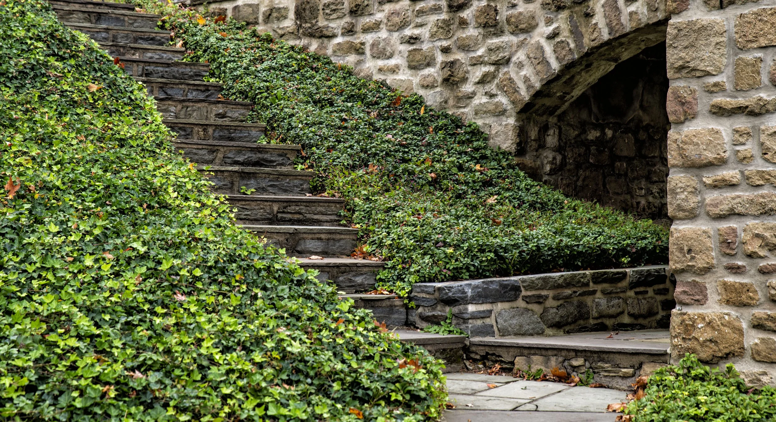 Stone staircase with dark stone steps and a stone wall archway, bordered by lush green ivy and shrubs.