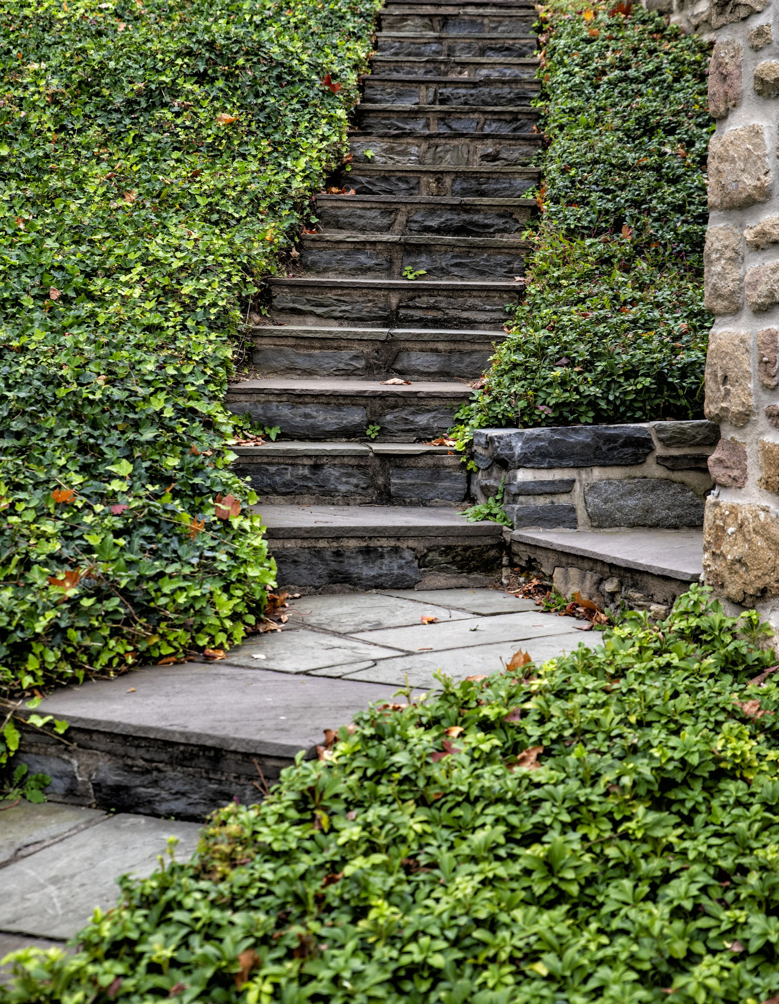 Stone steps surrounded by lush green bushes in a garden.
