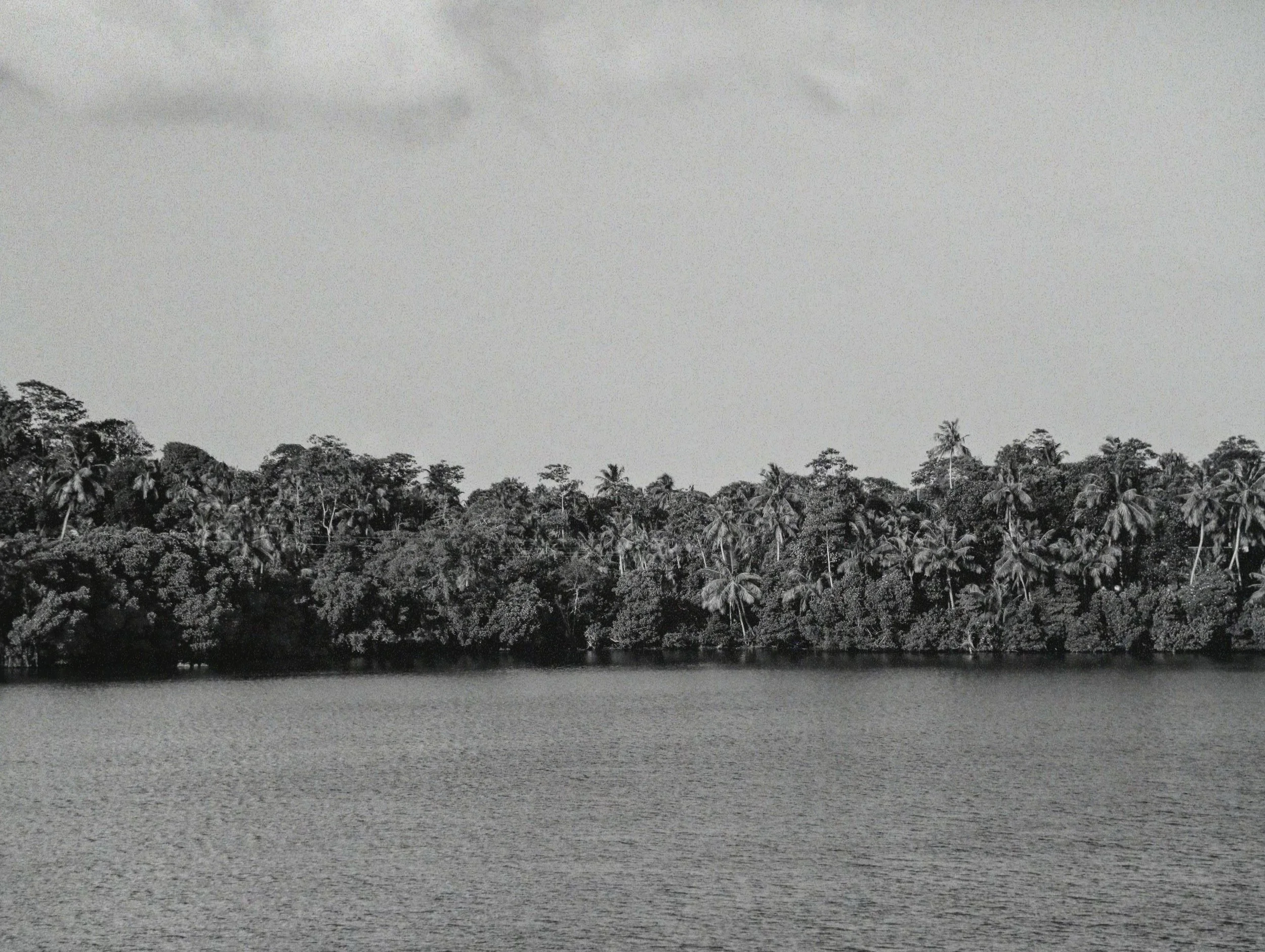 _04A6875_VSCO.JPG