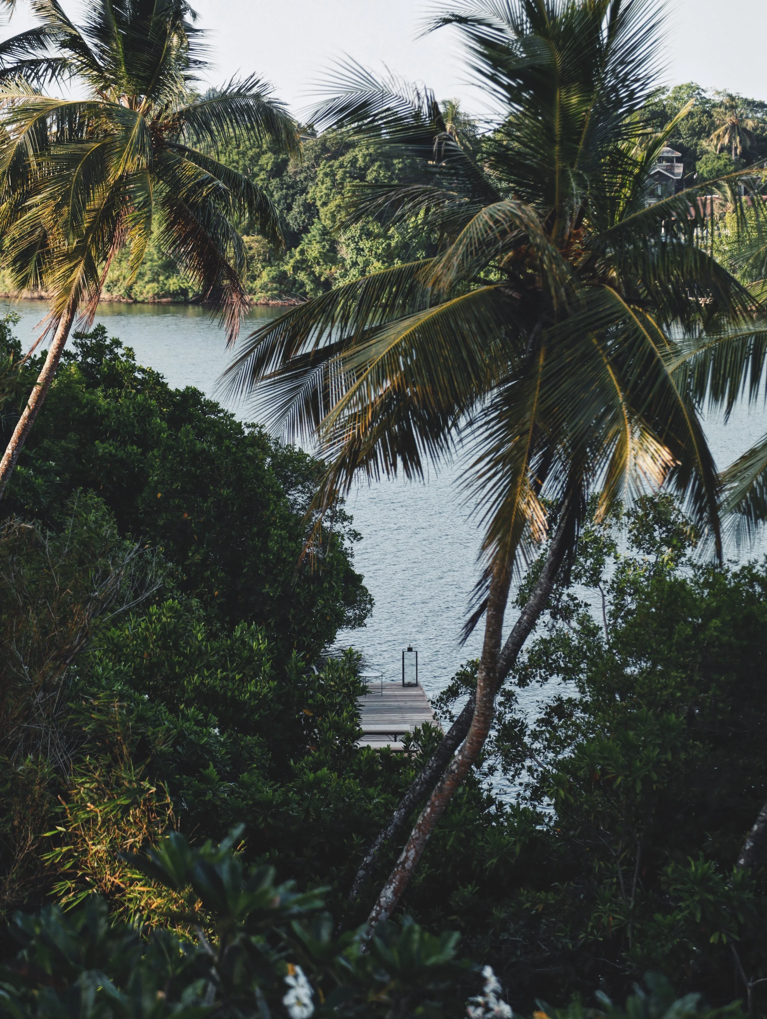 _04A6880_VSCO 3.JPG