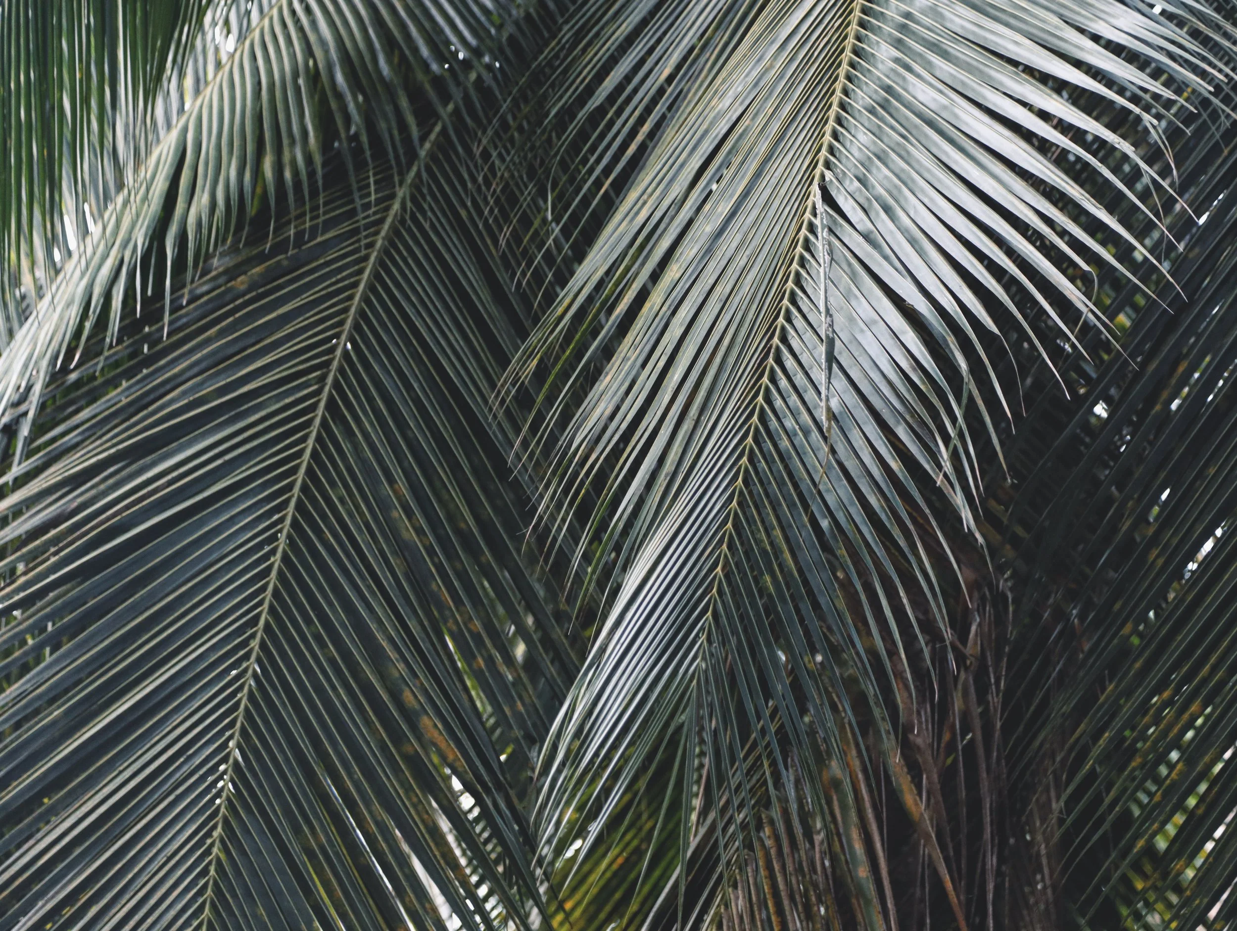 _04A6759_VSCO.JPG