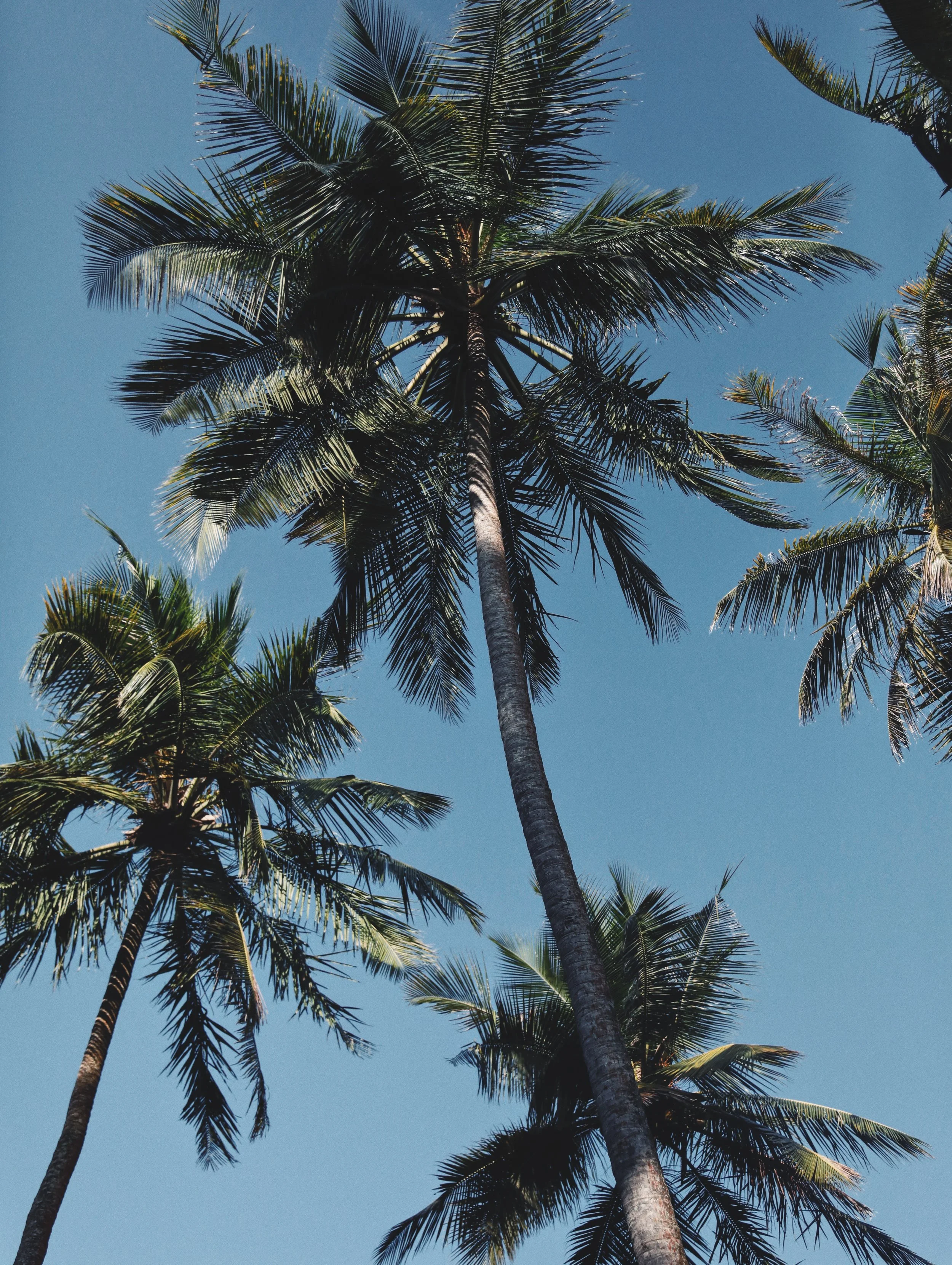 _04A7025_VSCO.JPG