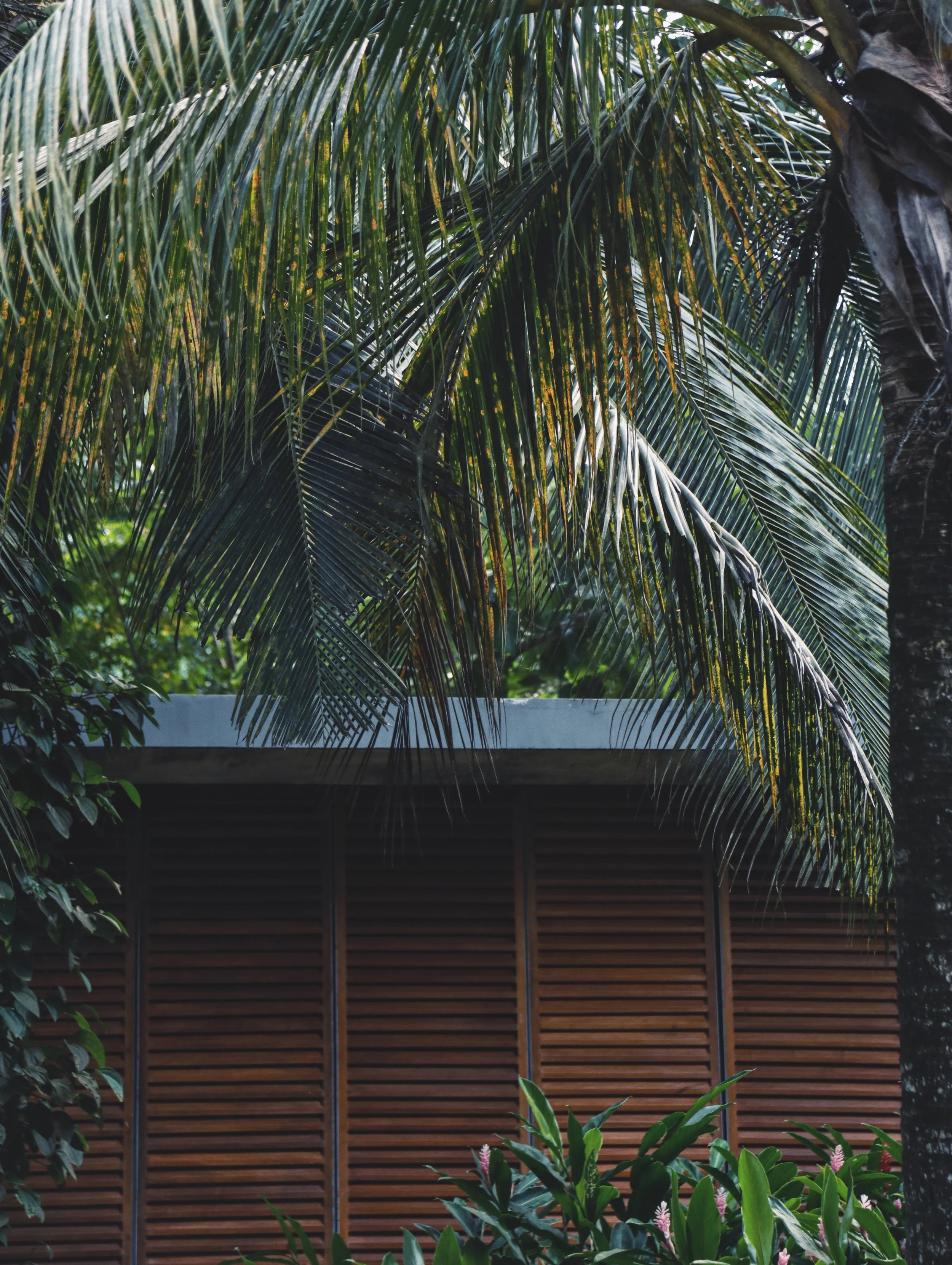 _04A6814_VSCO 2.JPG