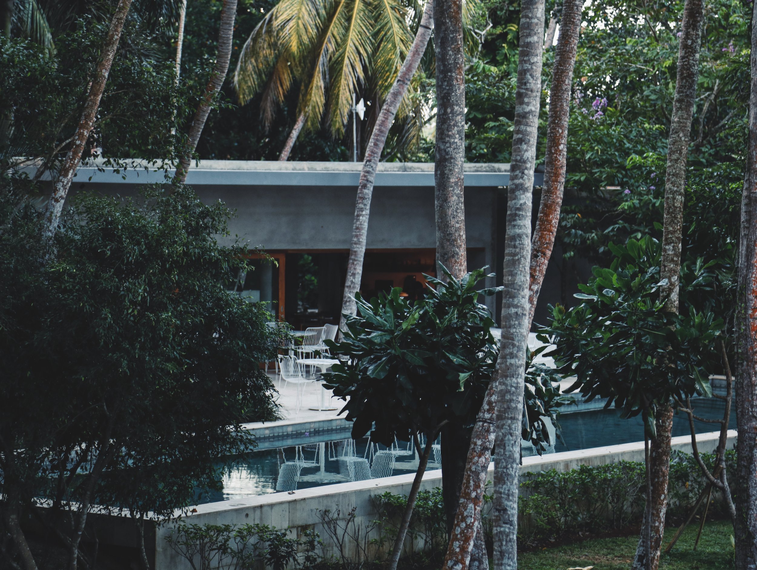 _04A6850_VSCO.JPG