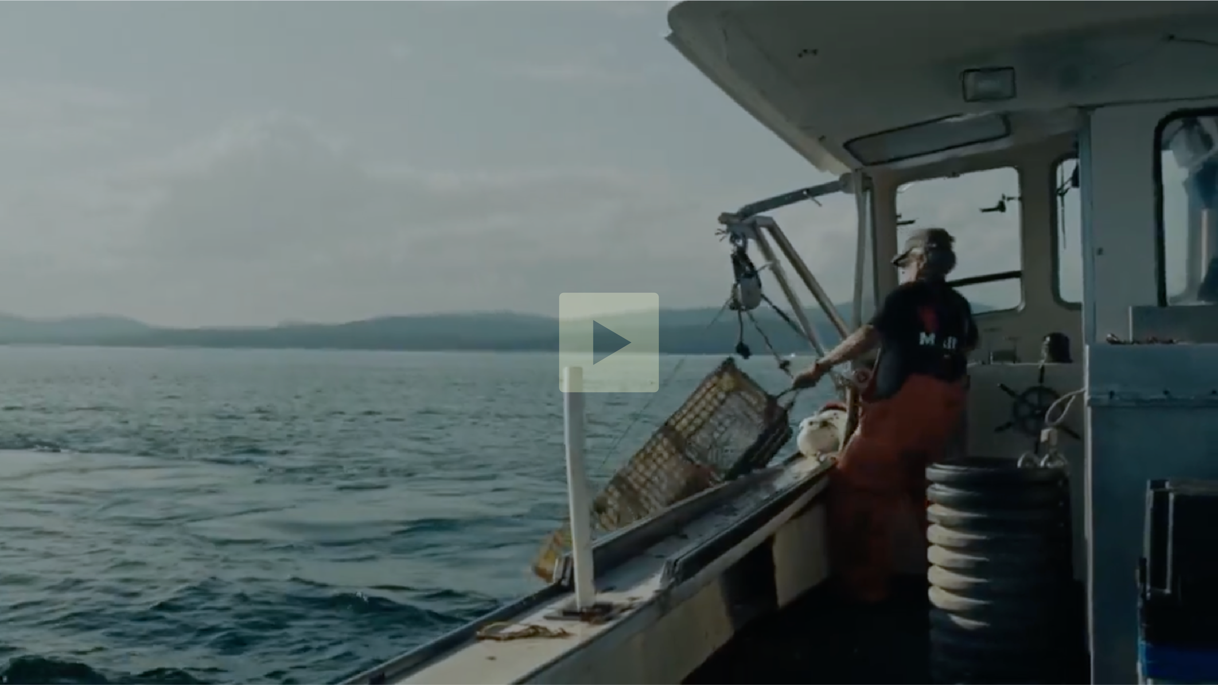 A person working on a boat, wearing a black shirt and protective gear, with ocean and distant land visible in the background.