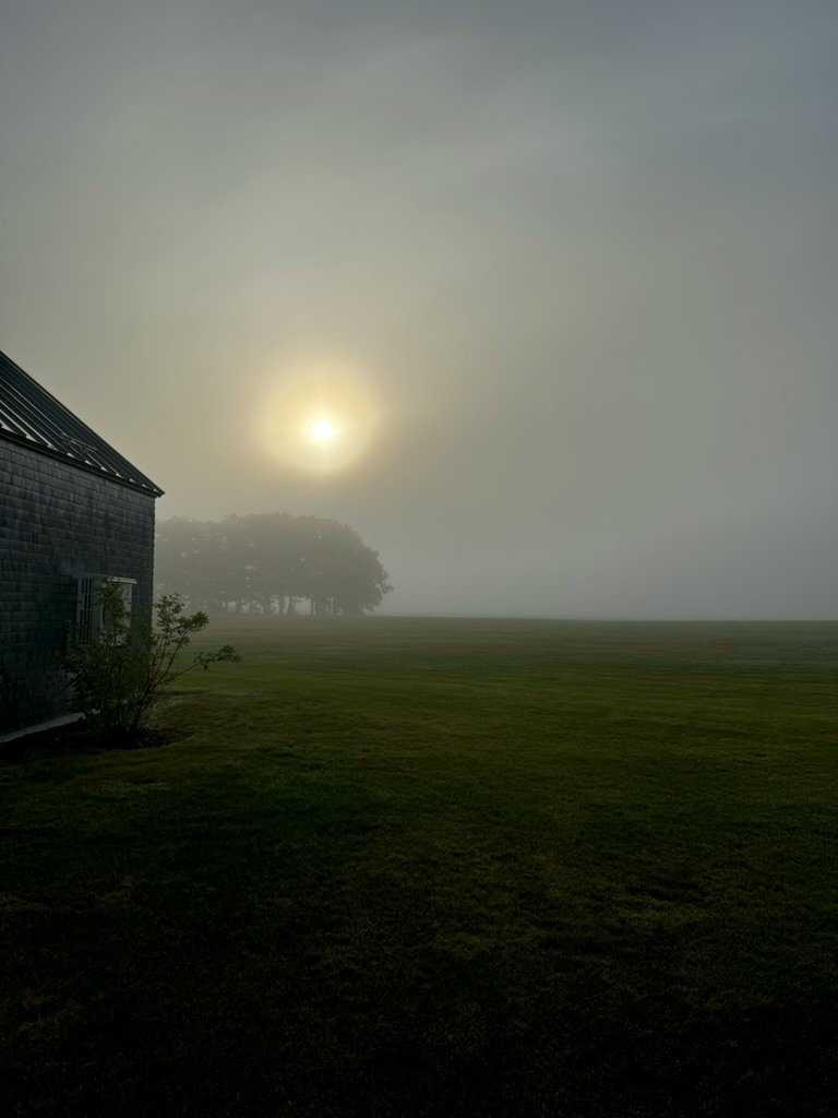 A foggy day with the sun barely visible through thick fog, a house on the left, and a grassy field with trees in the distance.