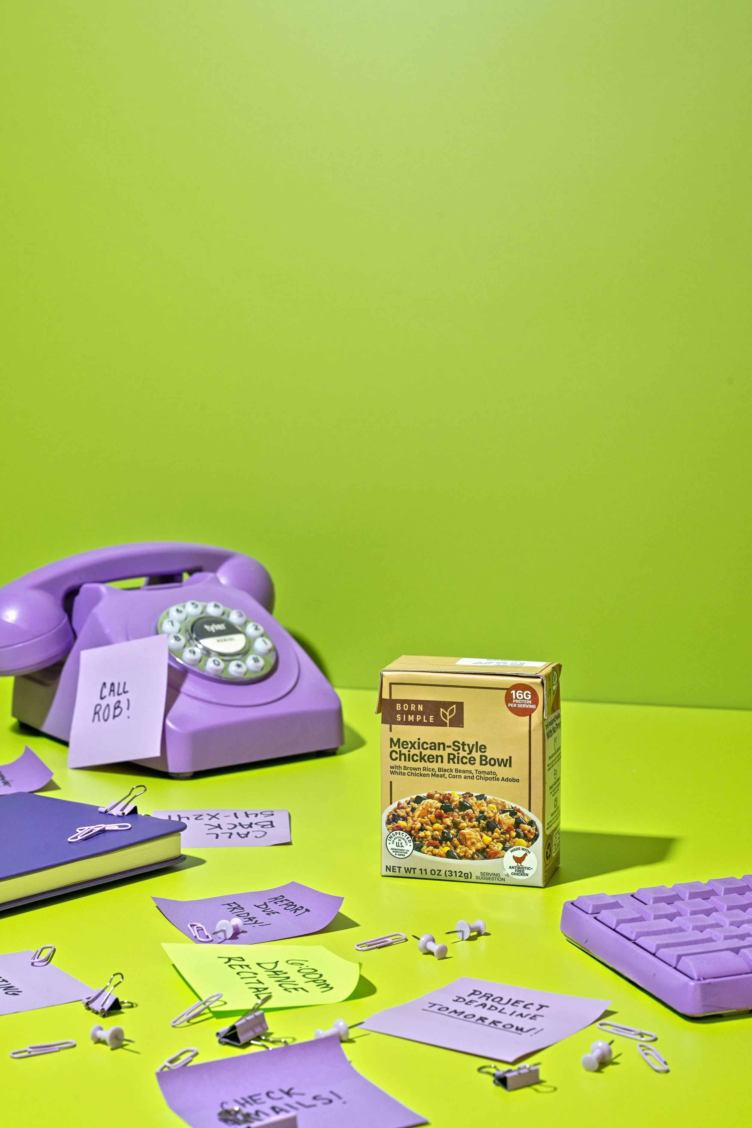 14_BornSimple_StopMotion_0002 copy.jpeg