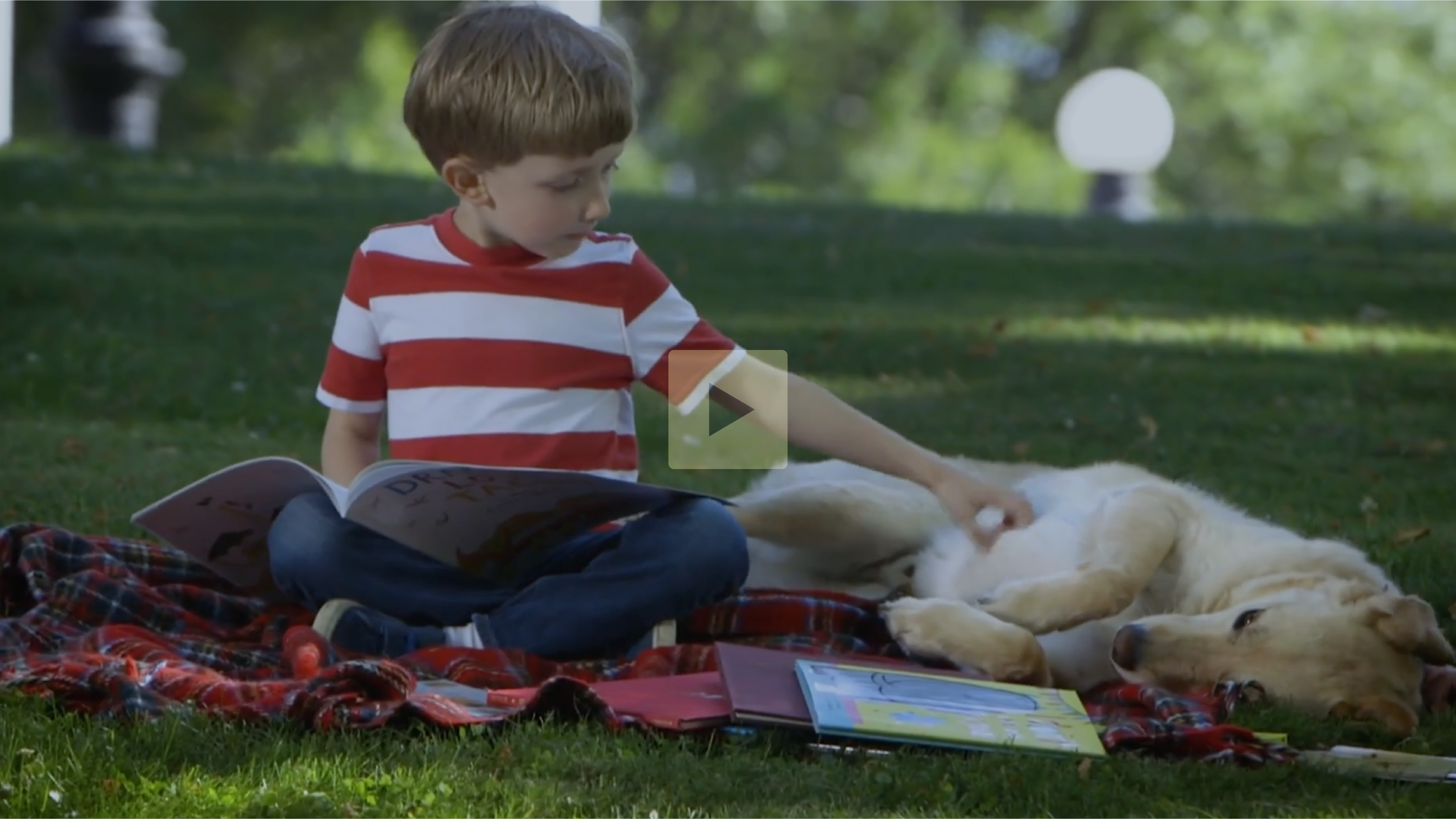A young boy in a red and white striped shirt and jeans sits on a red plaid blanket on the grass, reading a book. Next to him, a large golden retriever dog lies on its back, relaxed, with its eyes closed. The boy gently pats the dog's belly while looking at the book. The scene is set outdoors in a park with trees and blurred lights in the background.