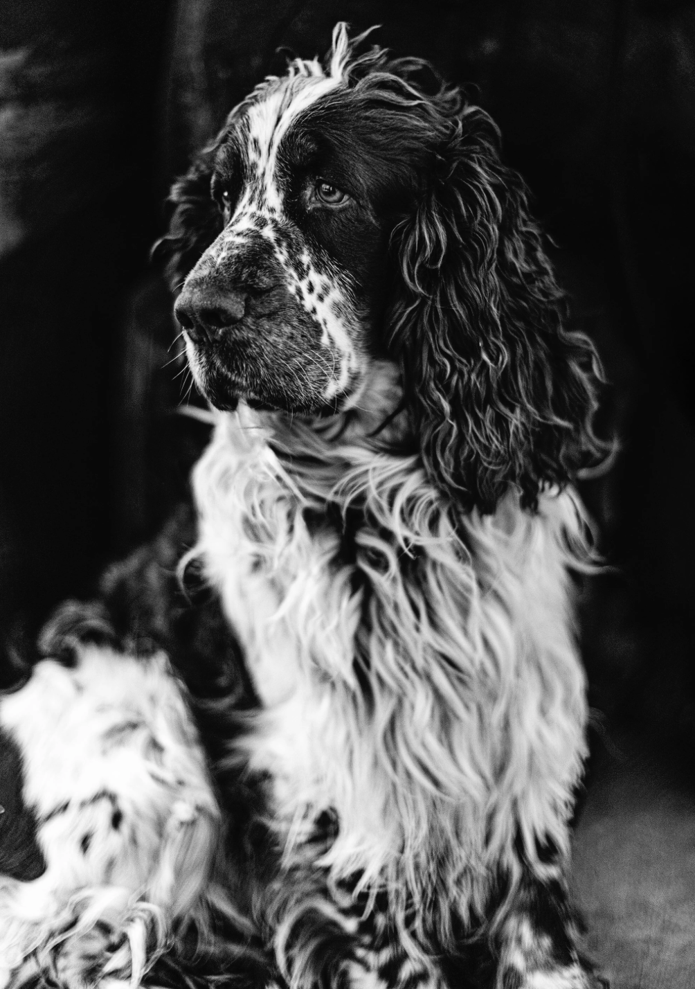 Screenshot 2025-12-13 at 8.00.49 PM.png