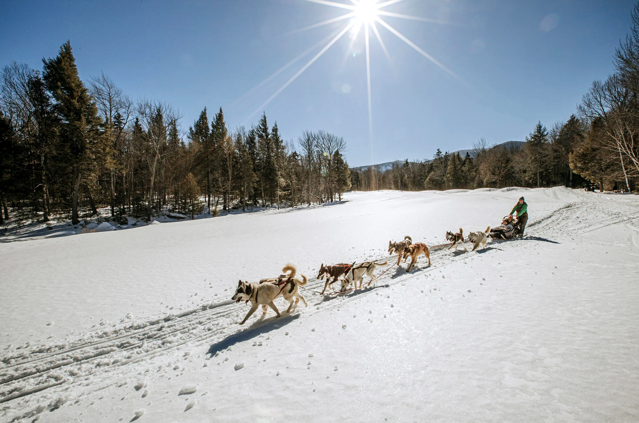 Screenshot 2026-01-23 at 12.52.55 PM.png