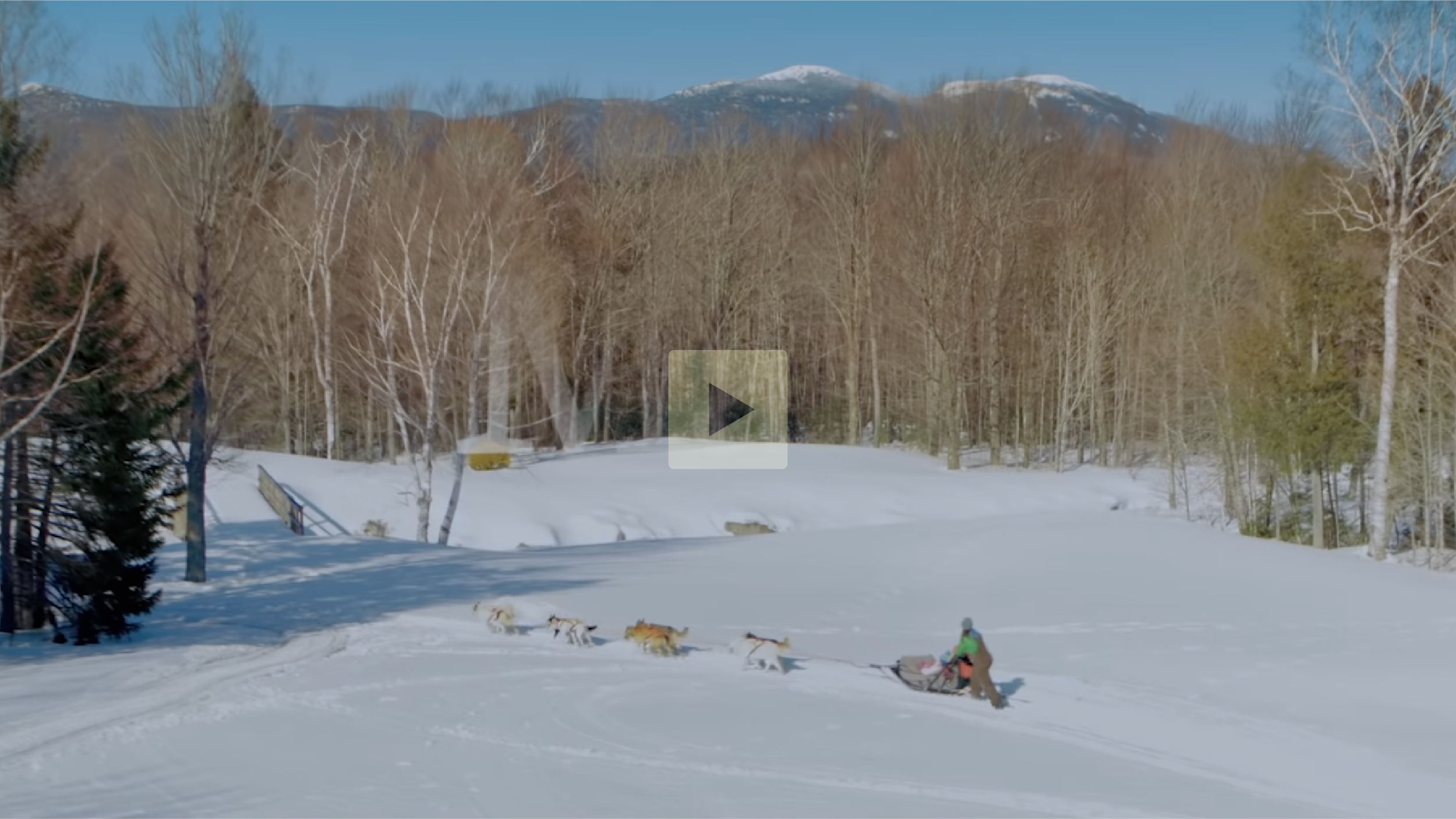 A person in winter clothing riding a dog sled pulled by six husky dogs on snow-covered ground with a forest of leafless trees and mountain range in the background.