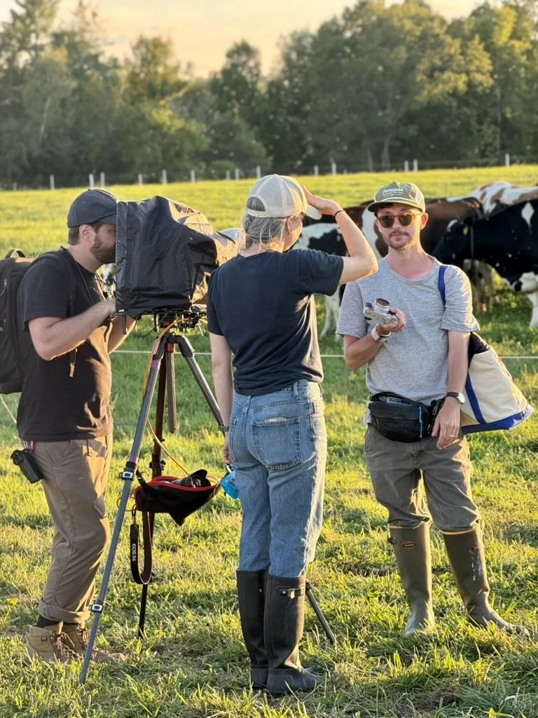 Three people standing outdoors in a grassy field with cows in the background. One is operating a camera on a tripod, another is talking and gesturing with a hand to a third person, all under a late afternoon or evening sky.
