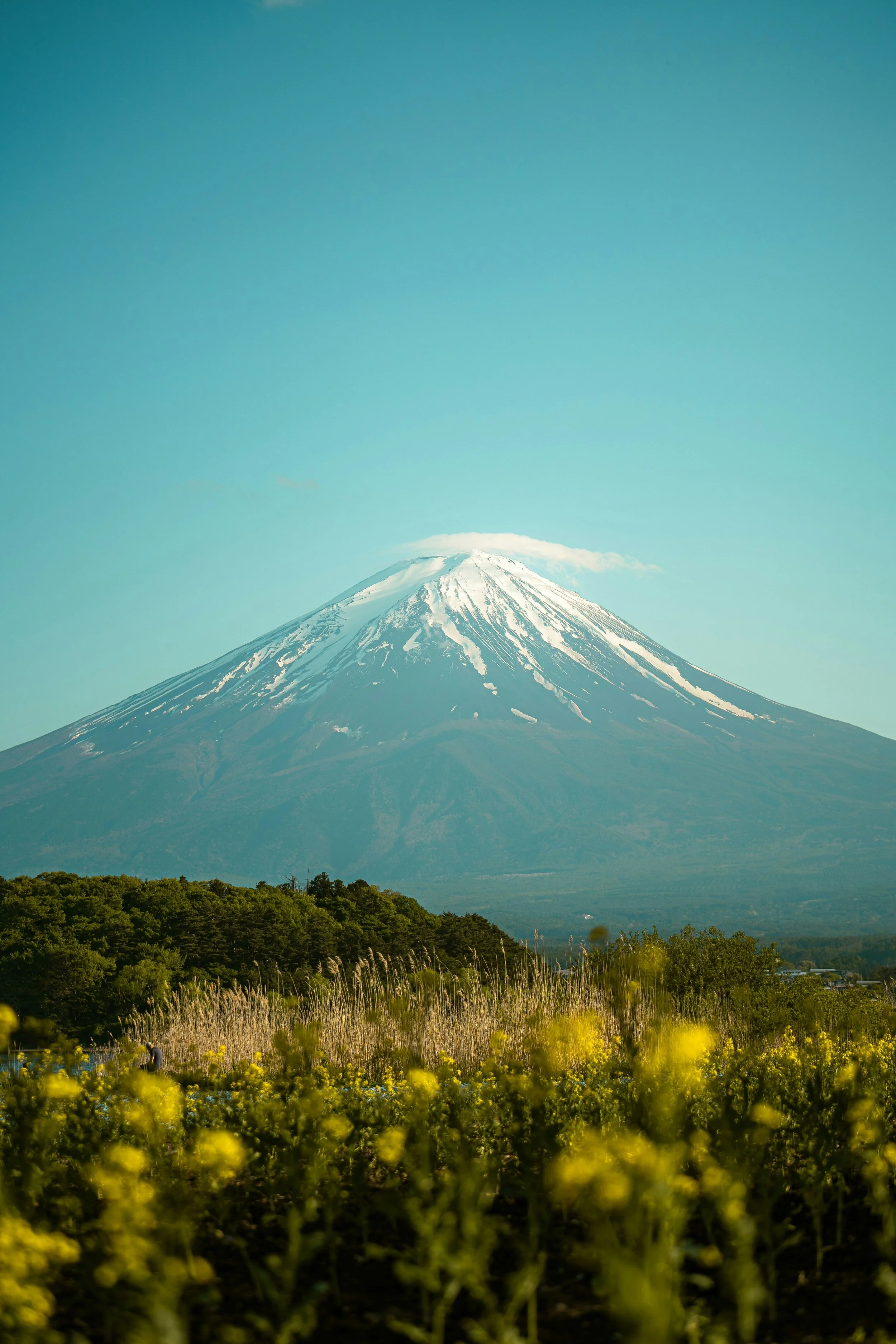 Mount Fuji: Japan's Sacred Peak Where Spirituality Meets Geology