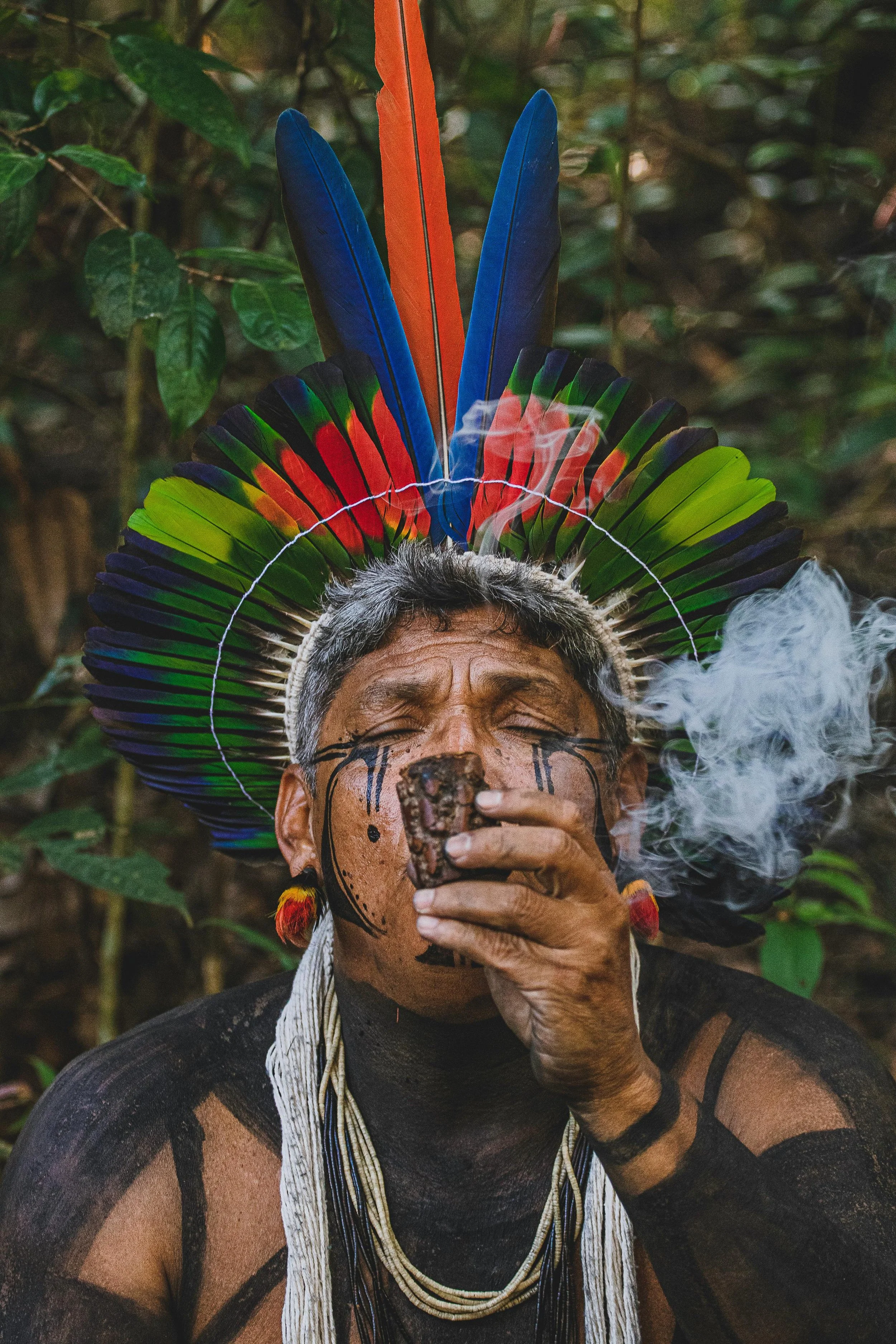 Indigenous Peoples of Brazil: Over 300 Distinct Cultures Preserving Ancient Traditions