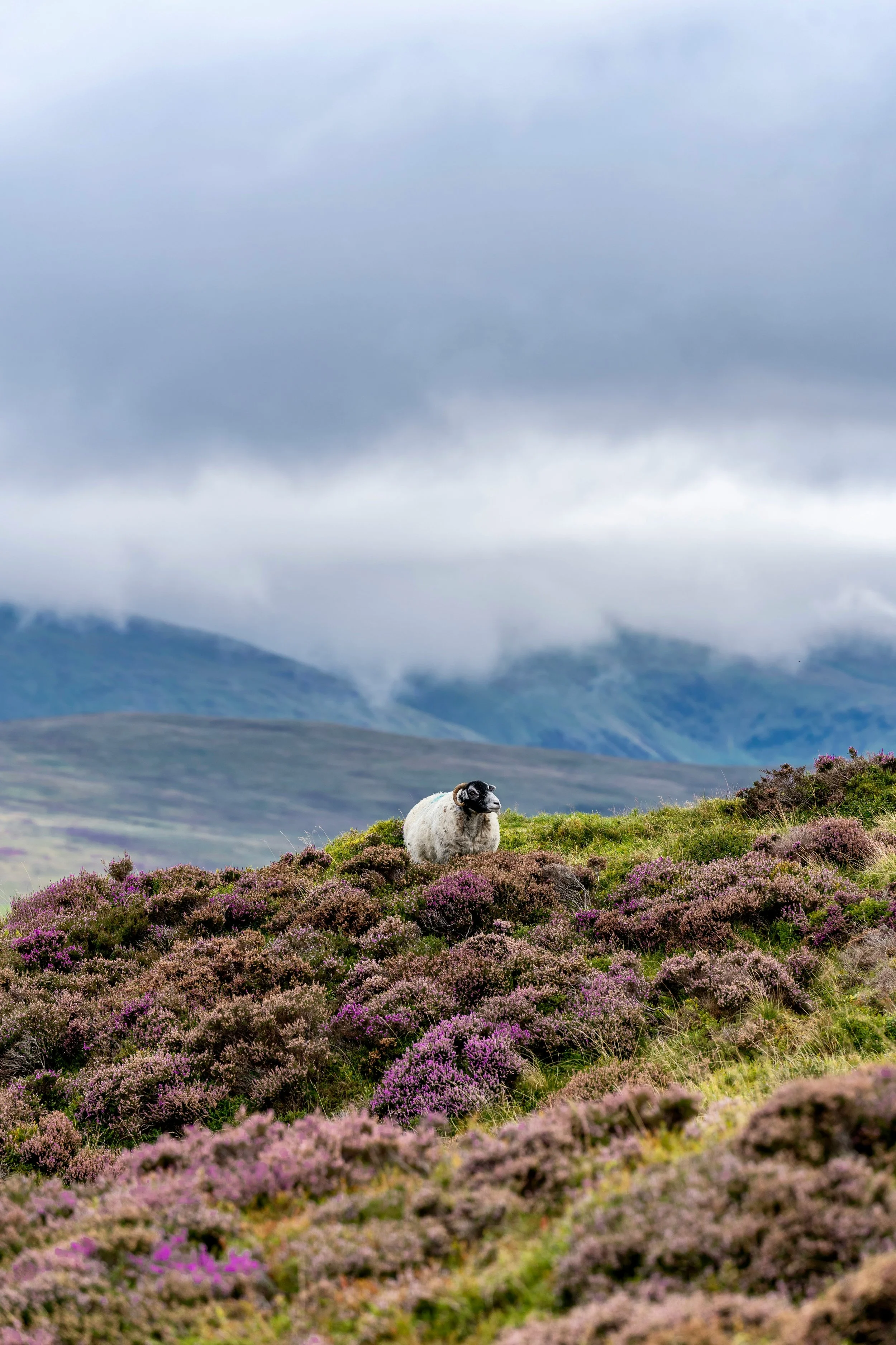 The Lake District: England's Mountainous Heart Shaped by Ice Age Glaciers