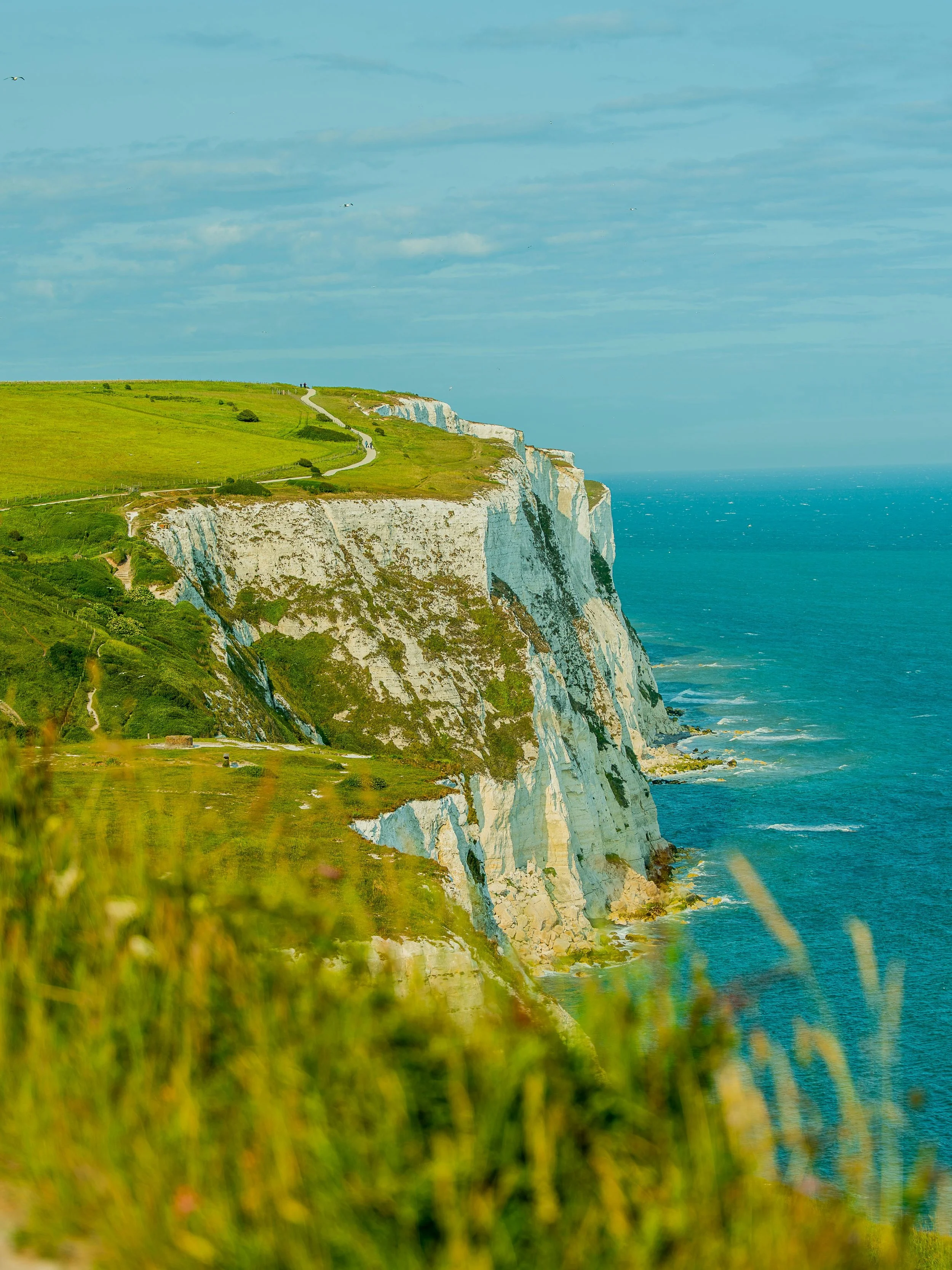 The White Cliffs of Dover: Geological Monument Composed of Microscopic Creatures