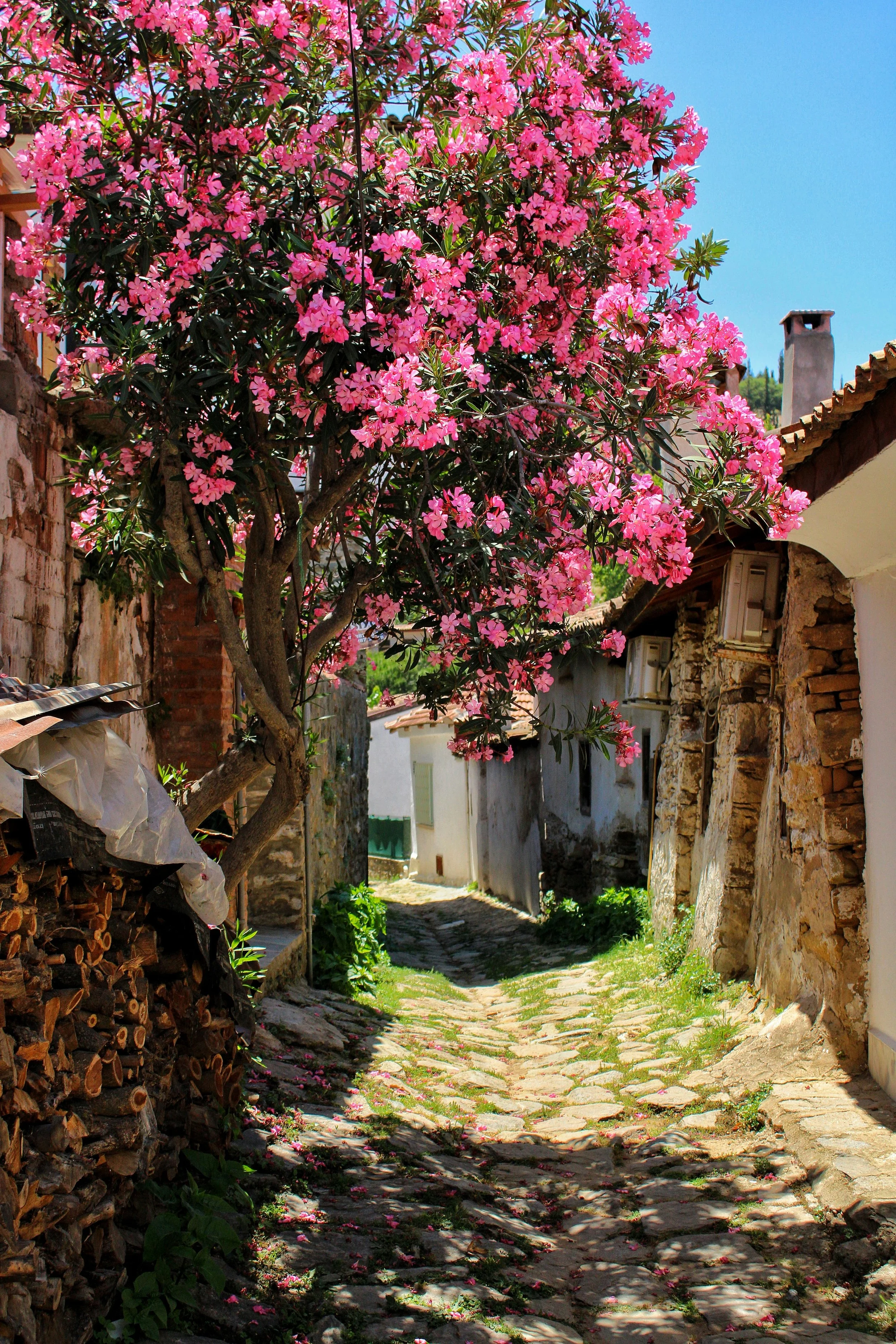 Anatolian Village Life: Traditions, Patriarchal Structures, and Rural Community
