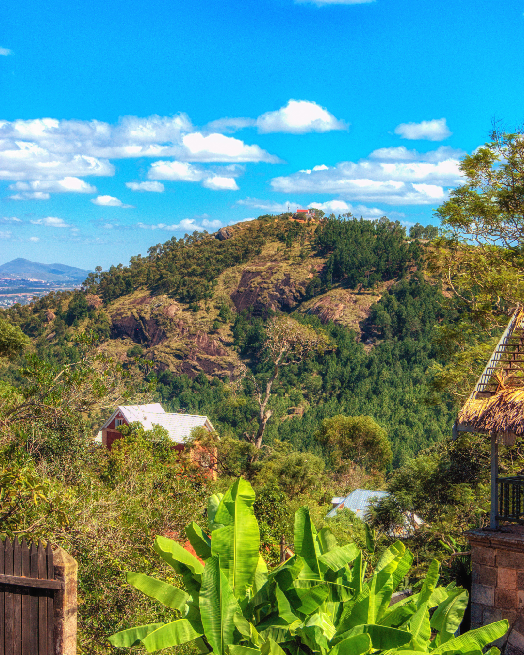 National Parks and Wildlife Tourism: Encountering Madagascar's Endemic Species