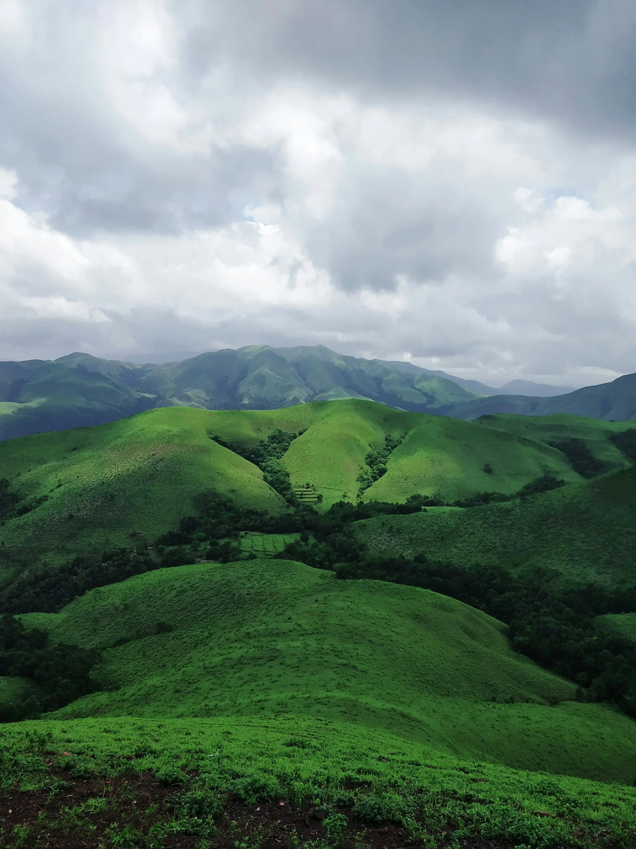 The Western Ghats: India's Biodiversity Hotspot and UNESCO Natural Wonder