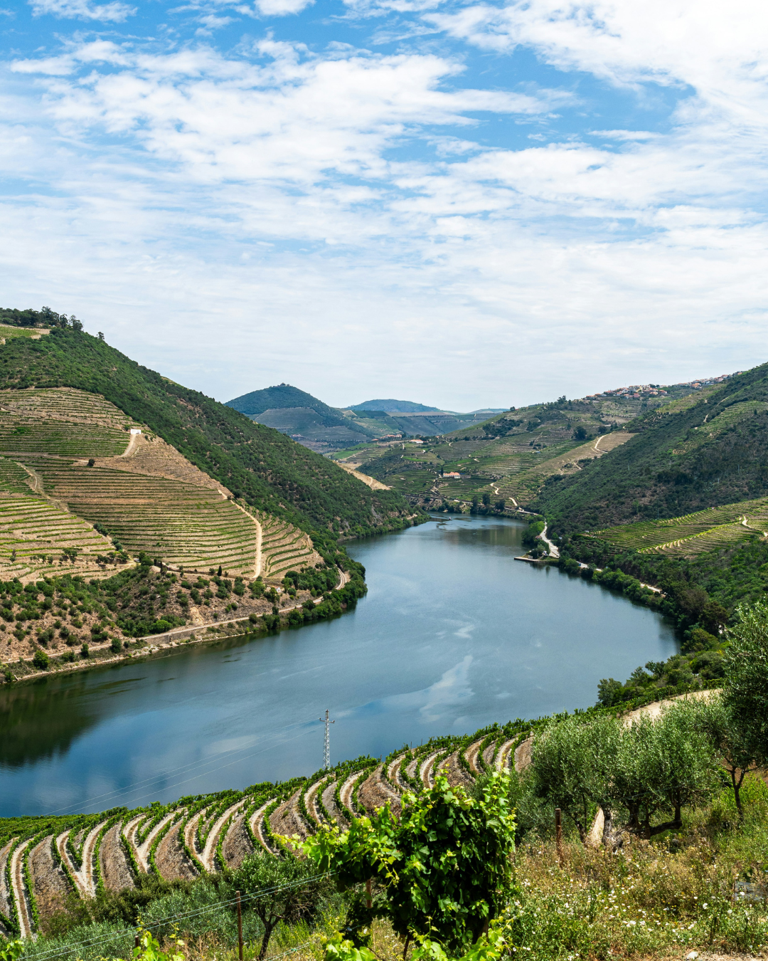 The Douro Valley: Portugal's Golden River of Wine