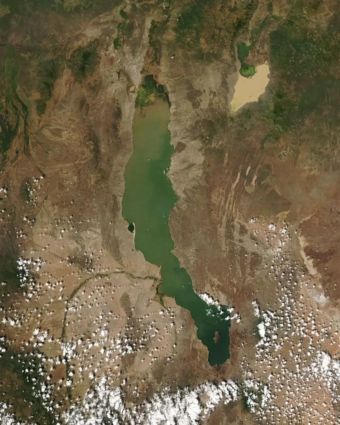 Lake Turkana: The Cradle of Humankind