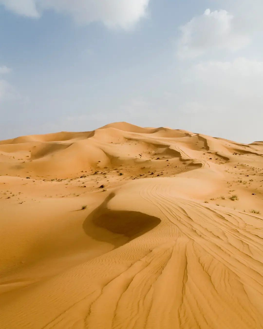 The Rub' al Khali: The World's Largest Continuous Sand Desert
