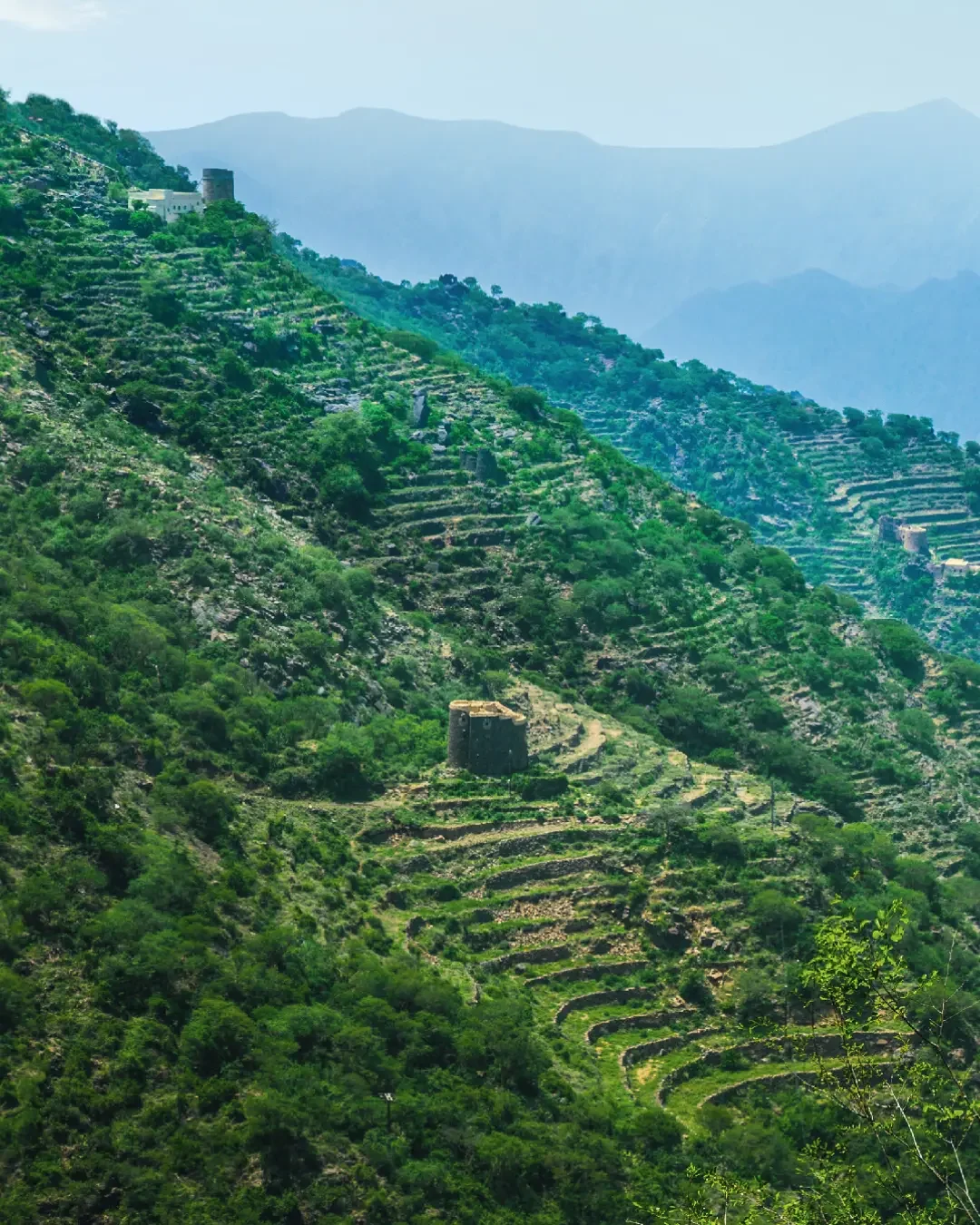 The Asir Mountains: Arabia's Verdant Highland Refuge