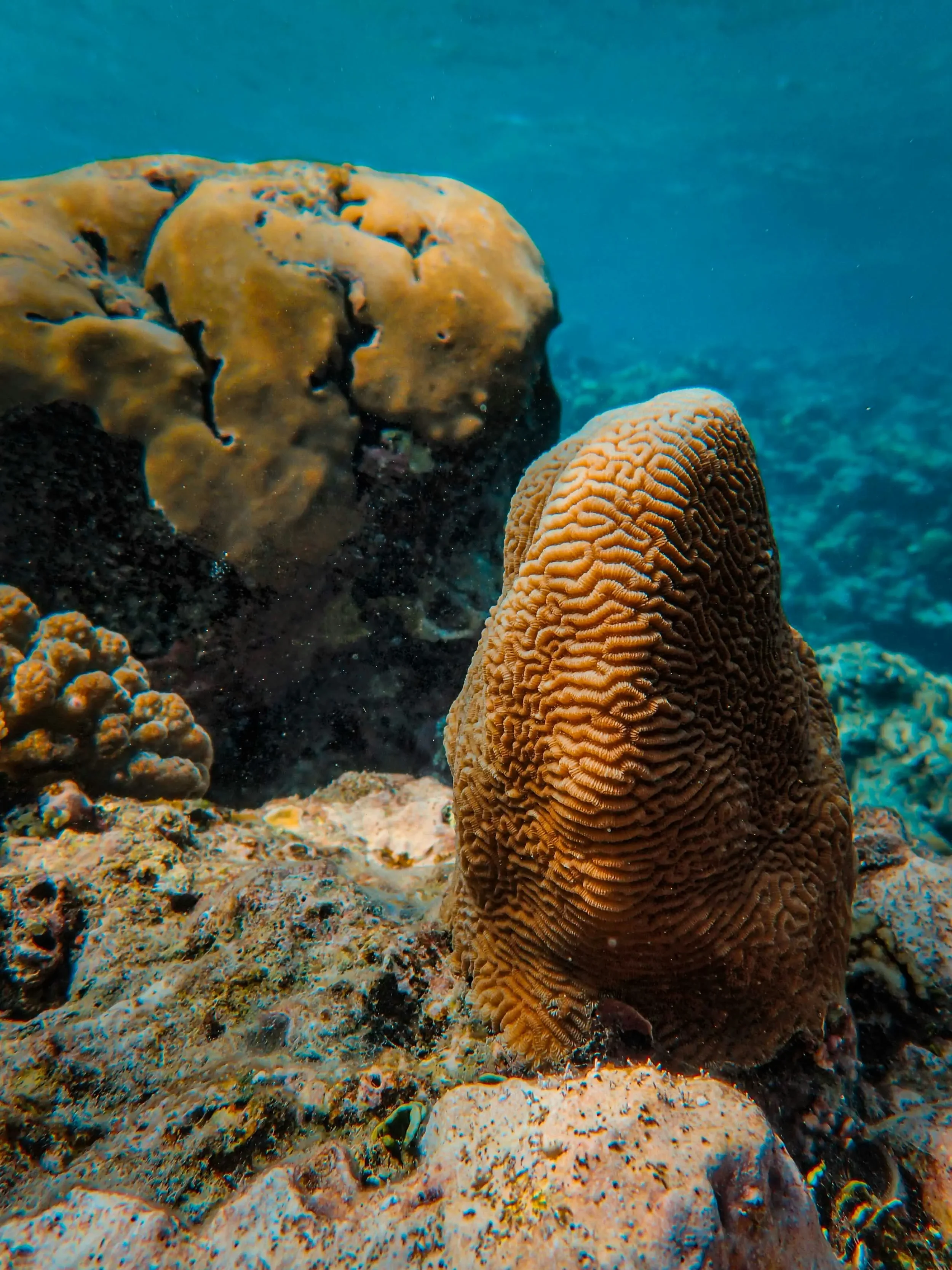 The Red Sea Coast: From Ancient Trade Routes to Luxury Tourism Frontier