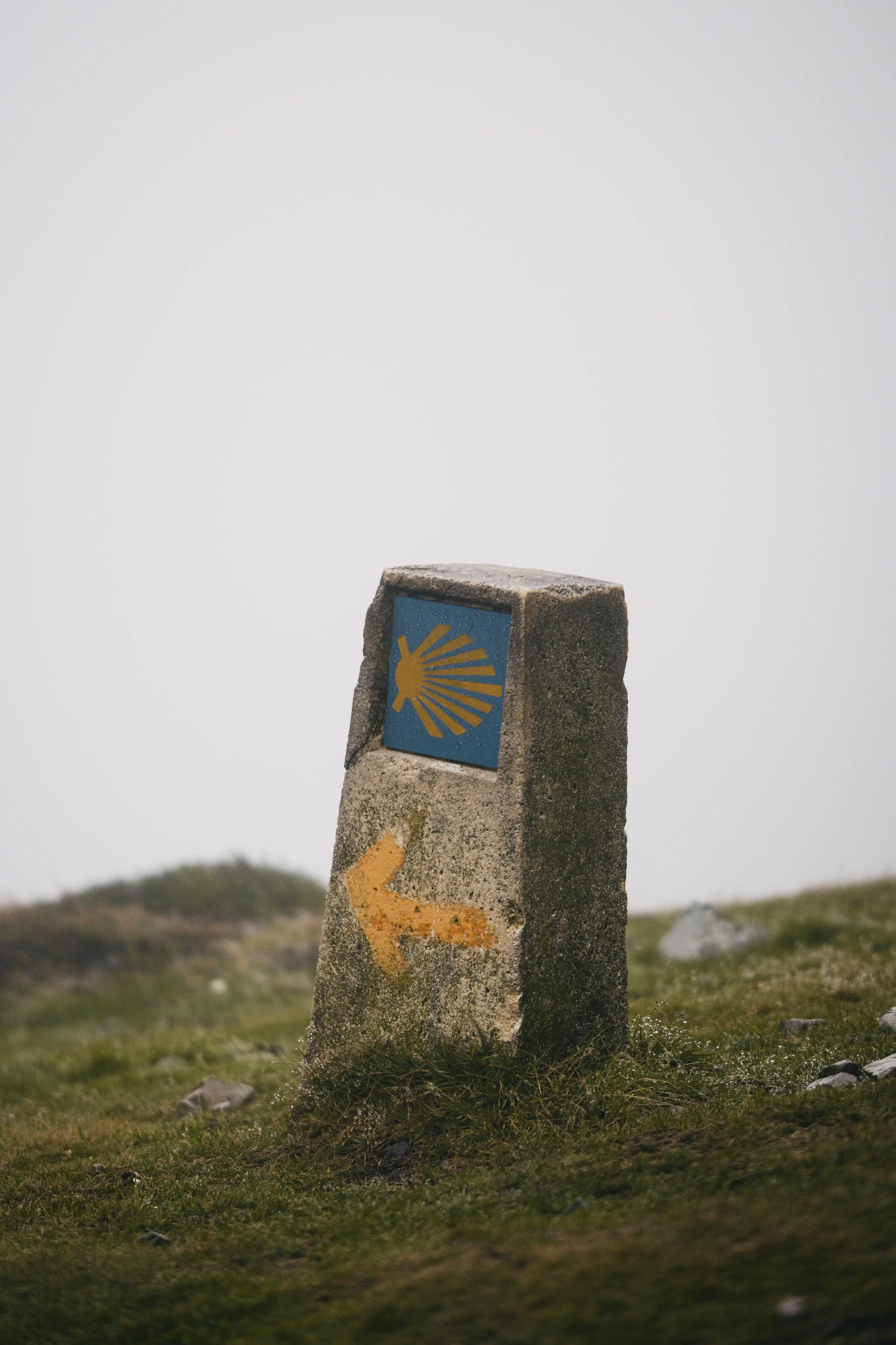 Camino de Santiago: Europe's Oldest Pilgrimage Path Since the 9th Century