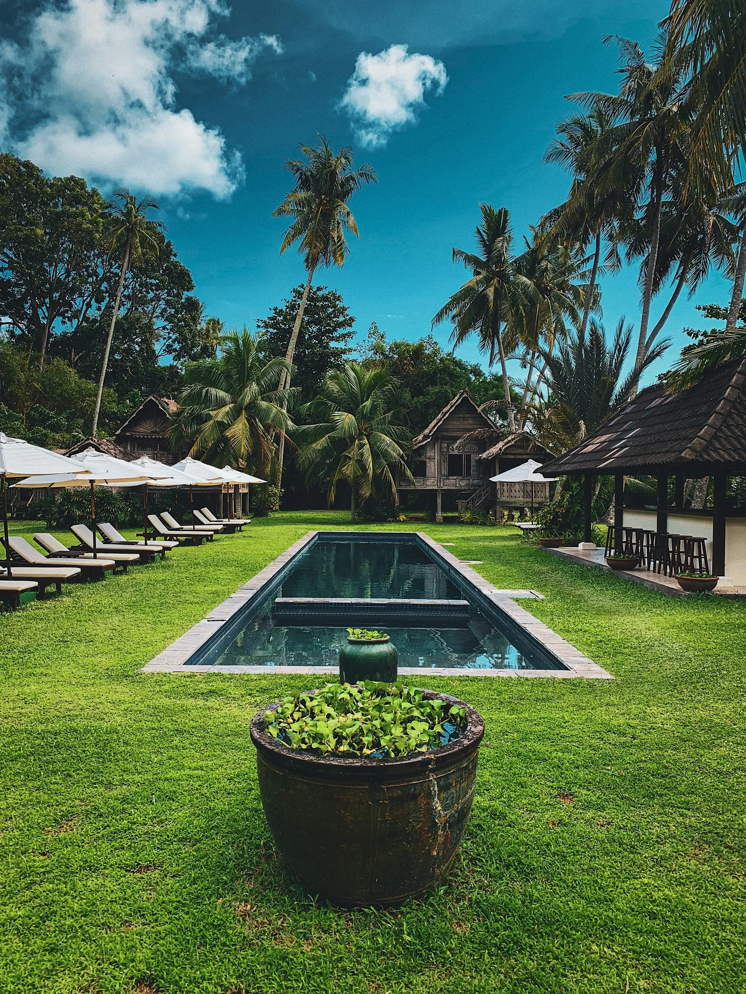 Langkawi UNESCO Geopark: Where 550-Million-Year-Old Karst Meets Mangrove Magic