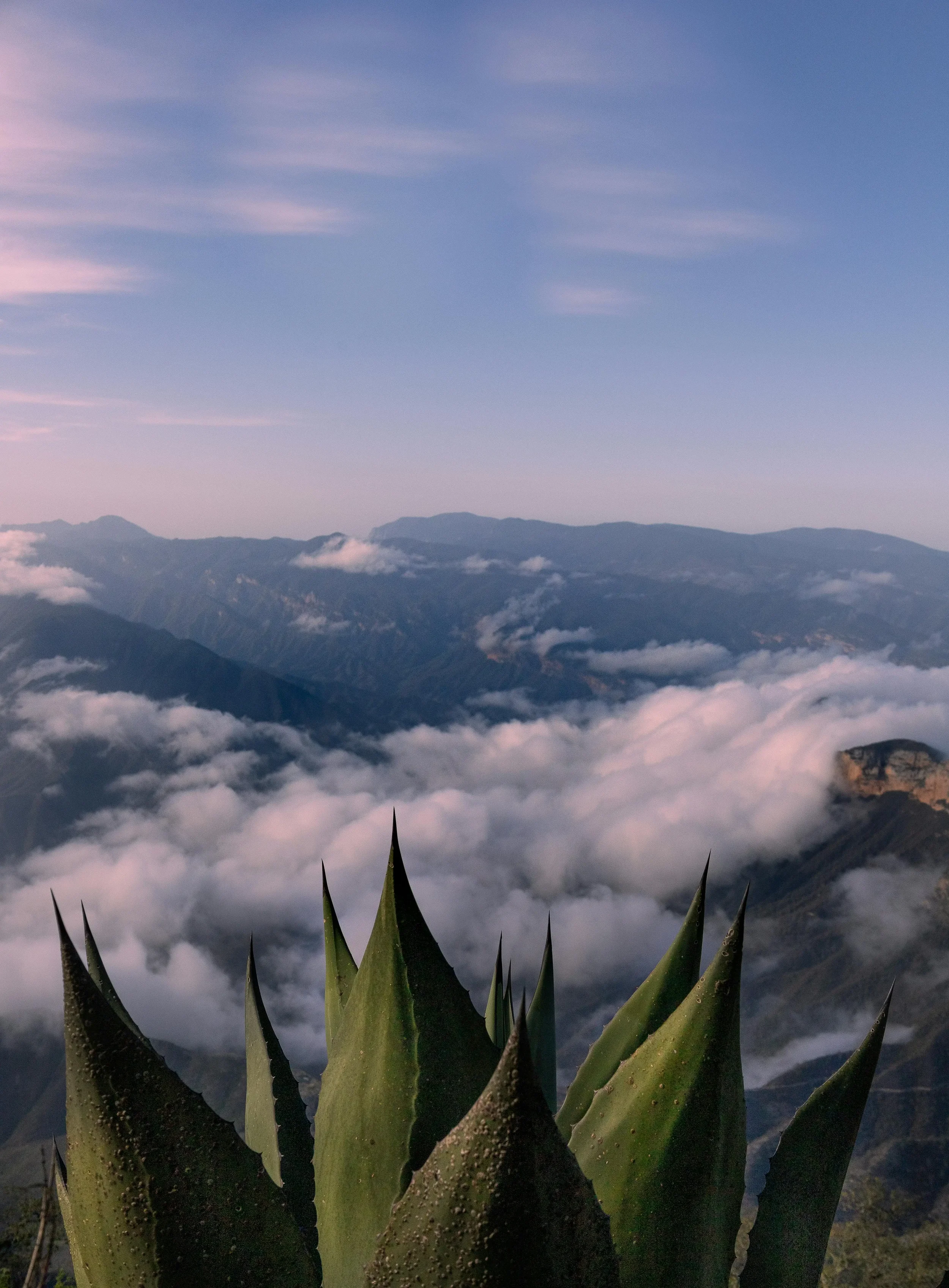 Sierra Madre Mountain System: Three Massive Ranges Enclosing the Mexican Plateau and Defining Continental Geography