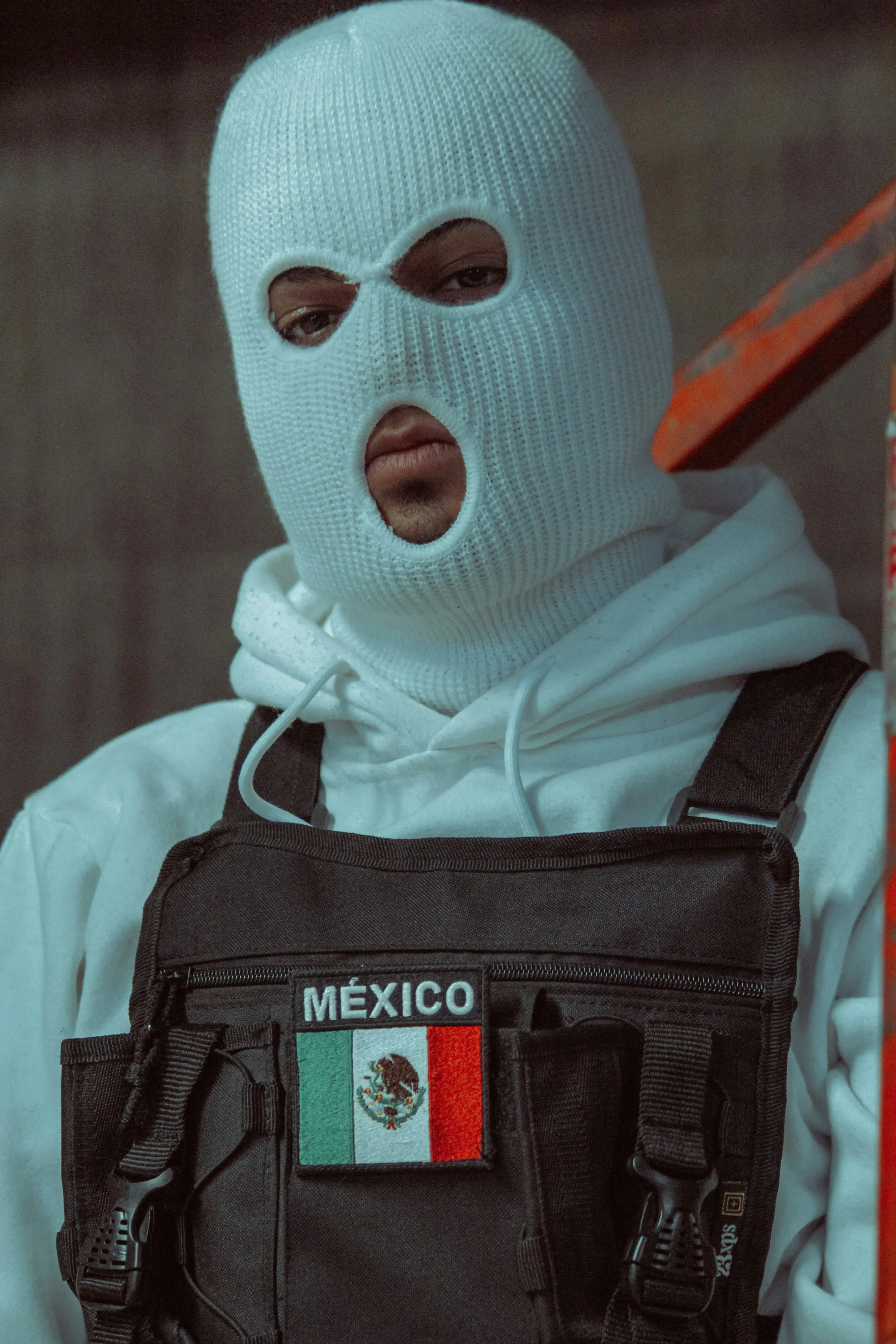 Mexico's Drug Cartels and Organized Crime: A Violent Crisis Reshaping Mexican Society