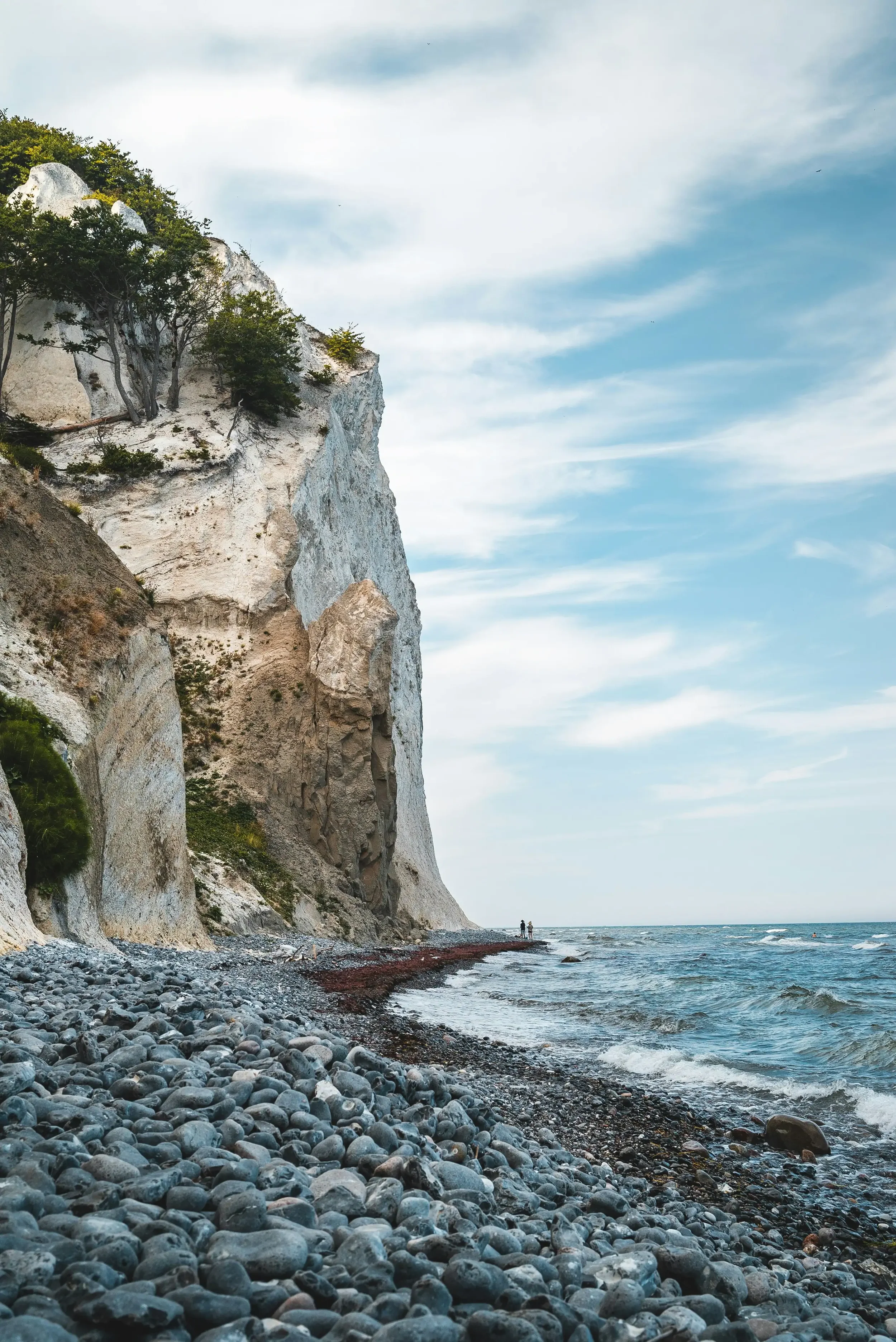 Møn's Klint: Denmark's Ethereal White Chalk Cliffs
