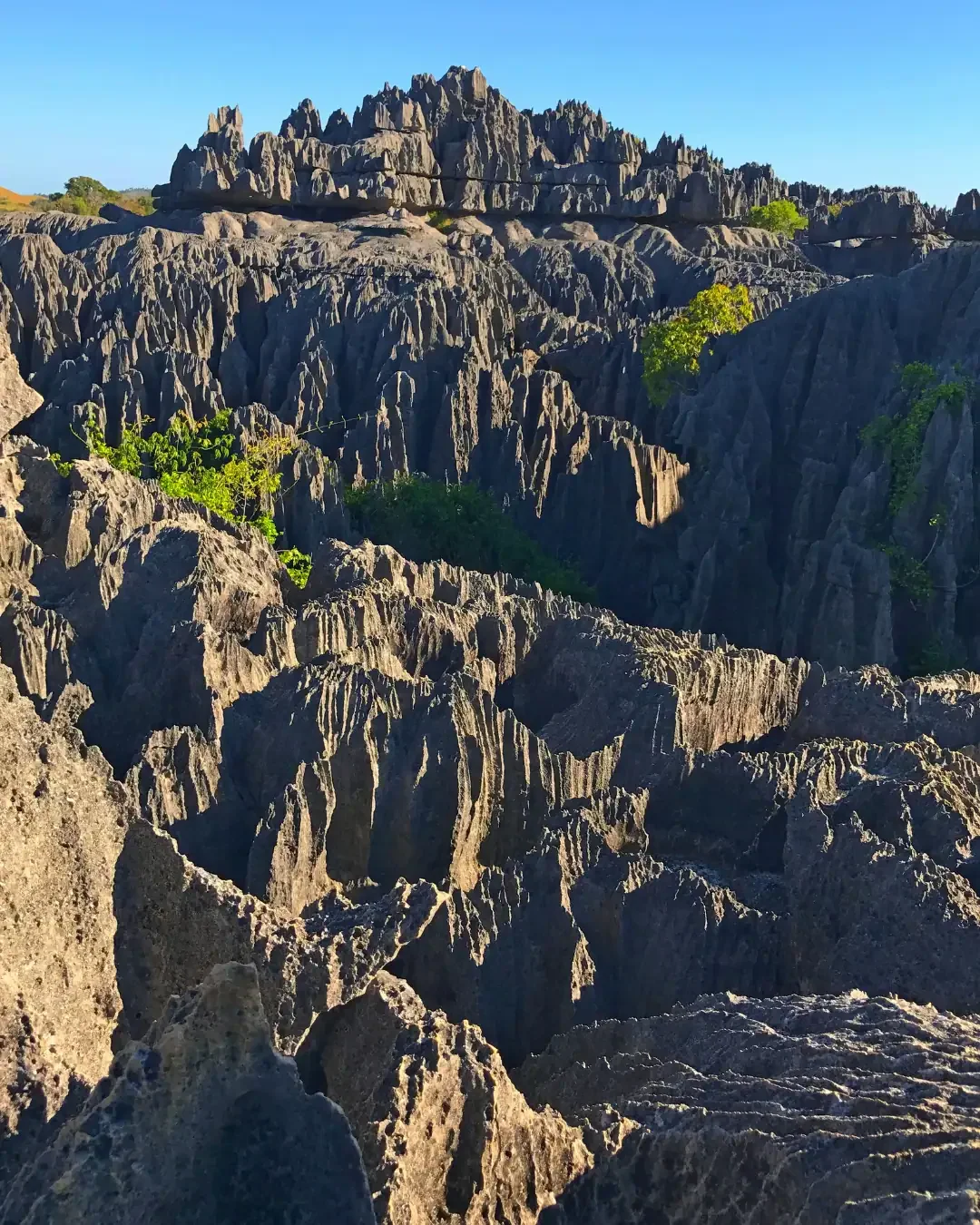 Tsingy de Bemaraha: The Stone Forest Where One Cannot Walk Barefoot
