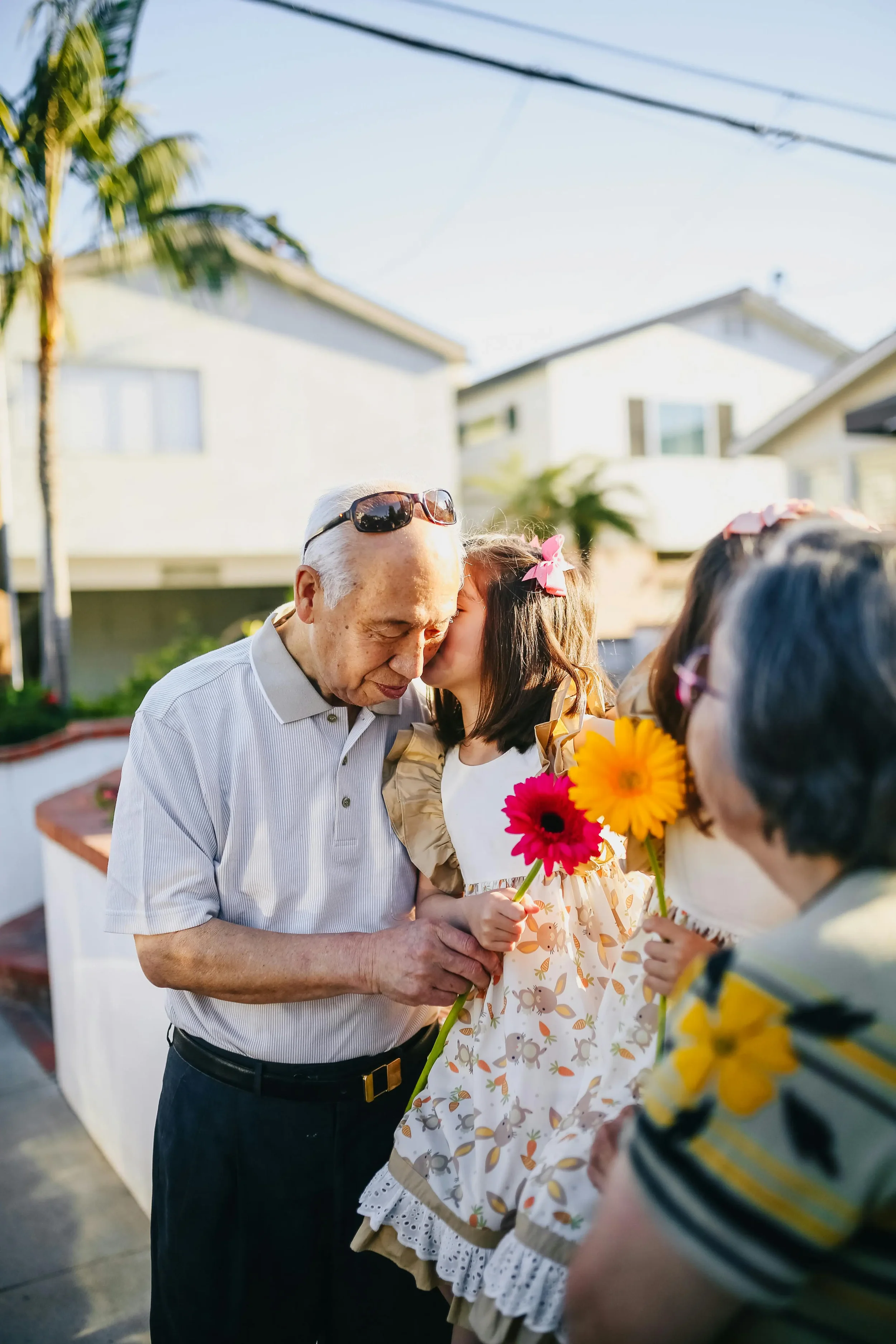 Respect for Tradition and Elders: Portuguese Social Foundations