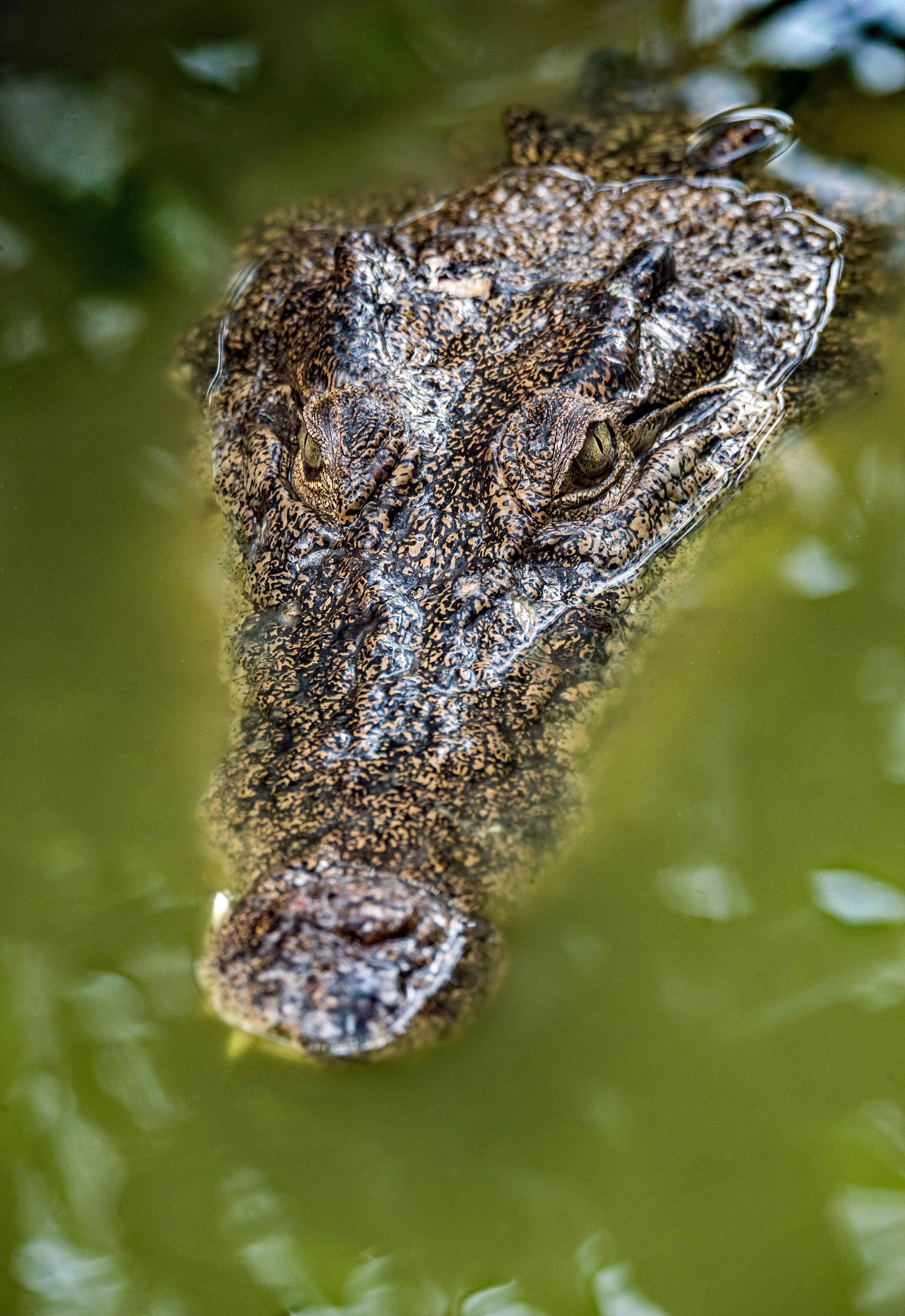Kakadu National Park: Where Culture and Nature Converge