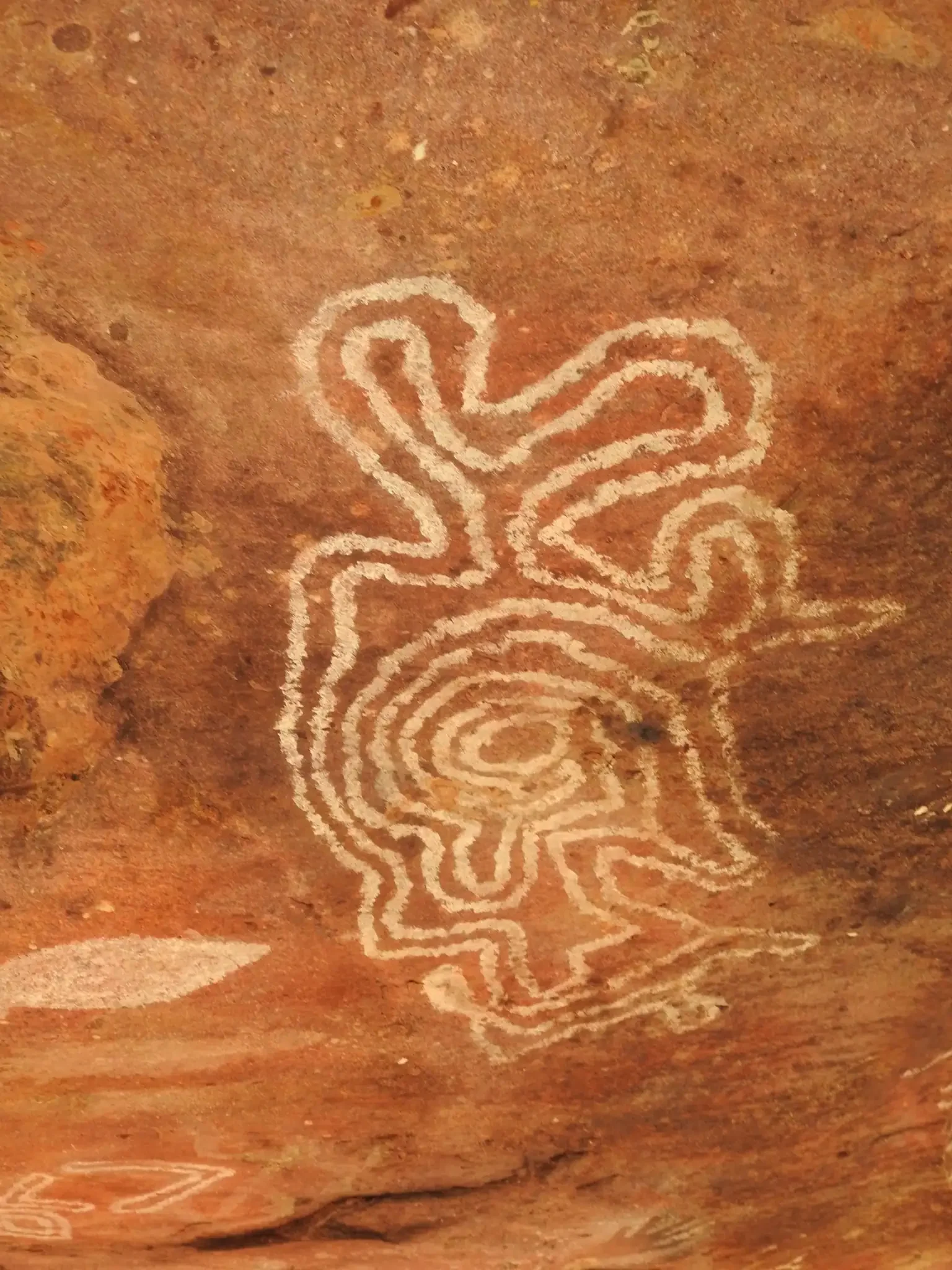 Aboriginal Rock Art: Ancient Stories on Stone