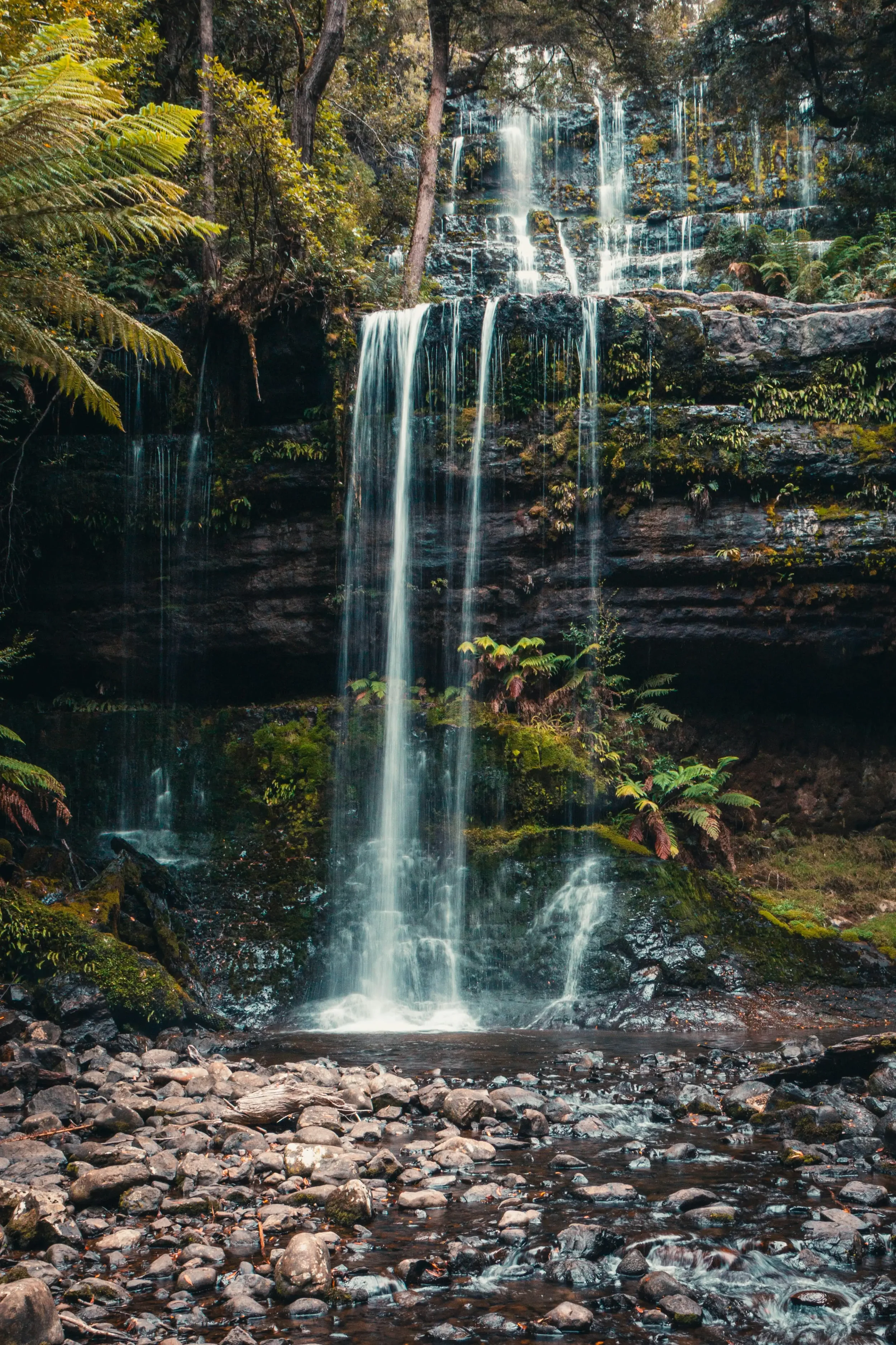 Tasmania: Australia's Island of Wilderness and Heritage