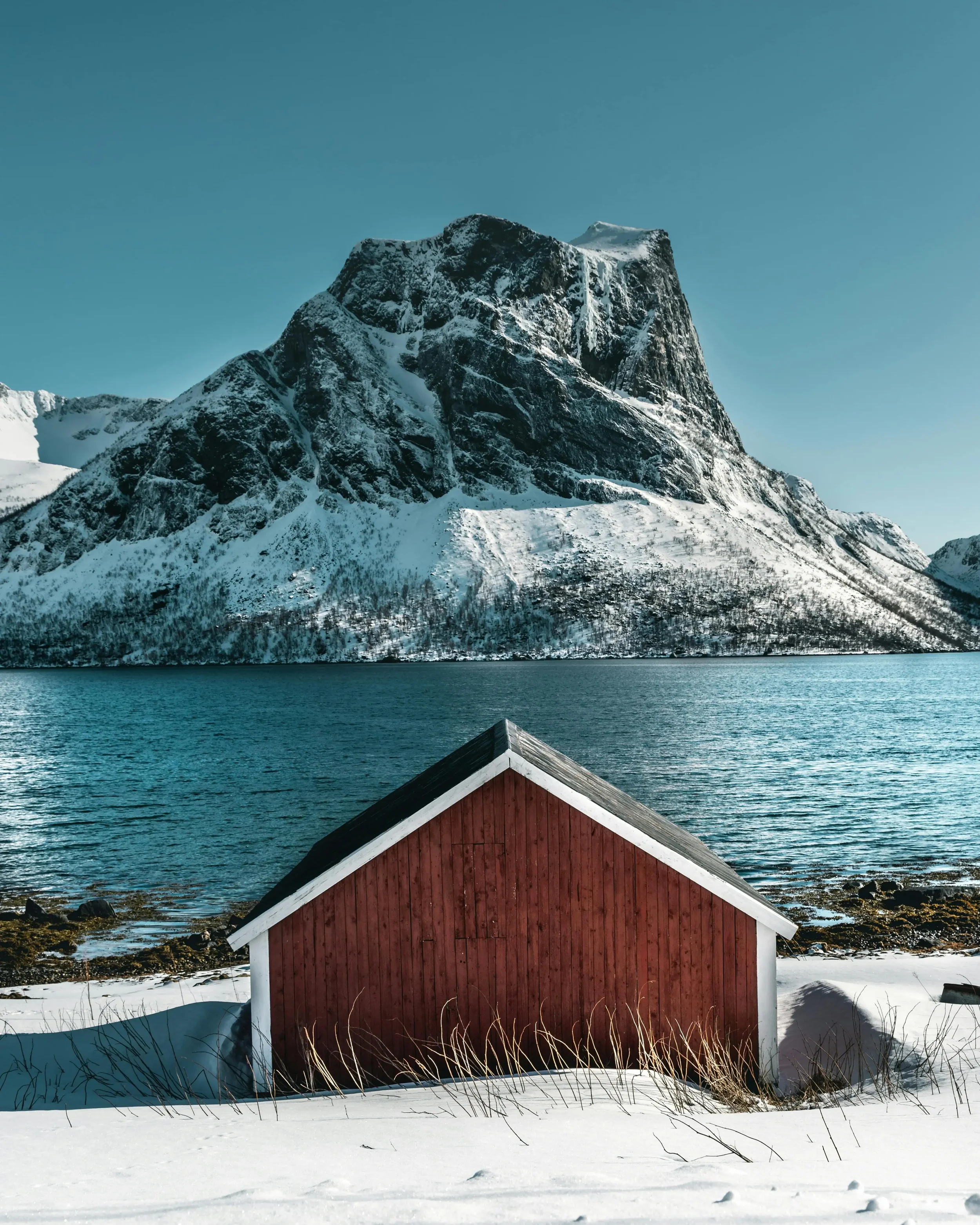 Environmental Sustainability: Leading the Green Transition