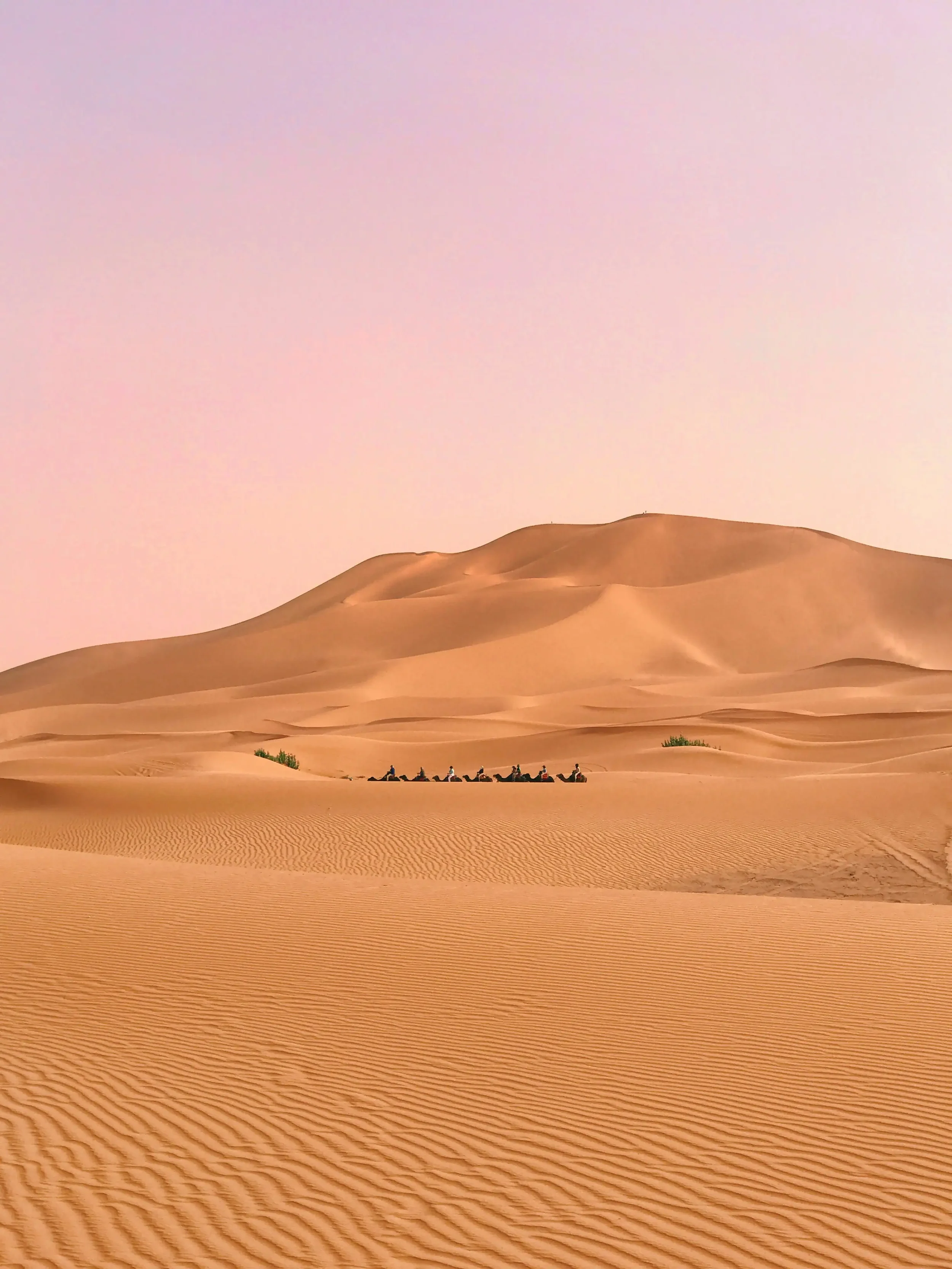 The Western Desert: Egypt's Vast Saharan Expanse