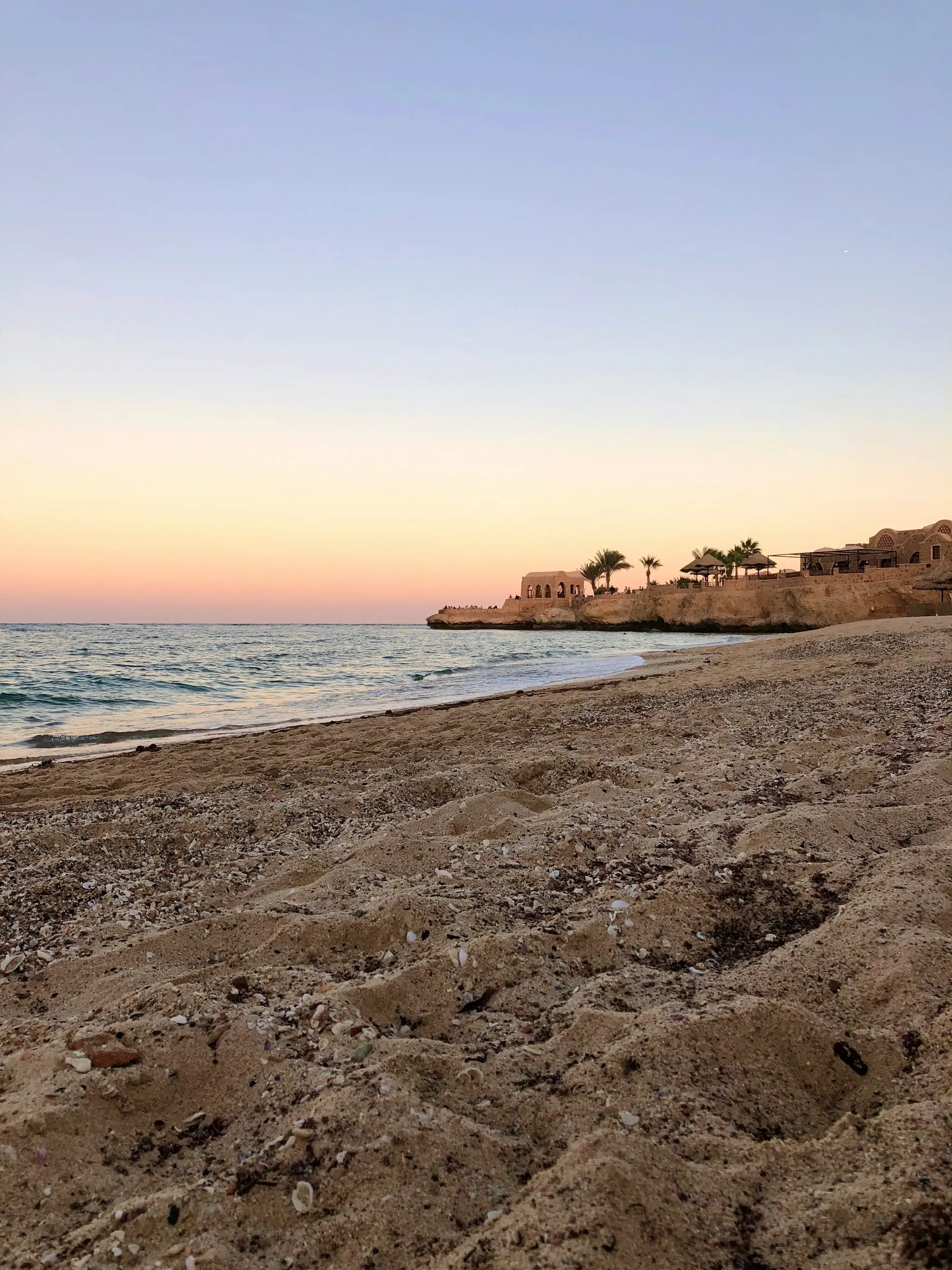 The Red Sea Coast: Coral Refuges and Marine Biodiversity