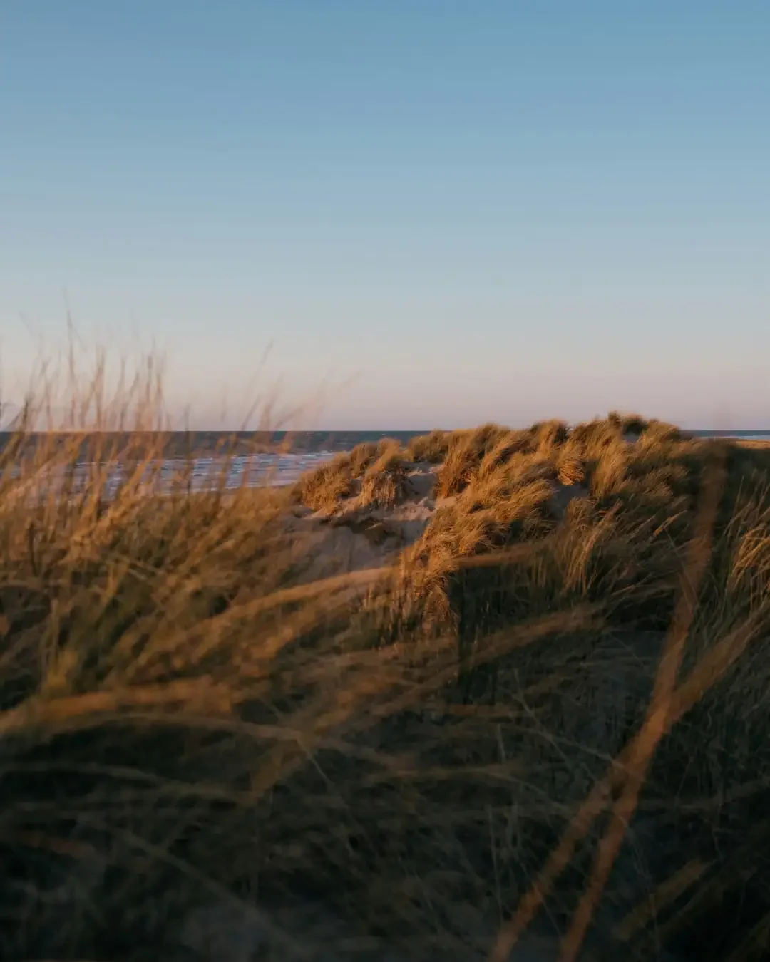 The Wadden Sea: Tidal Wilderness at the Country’s Edge
