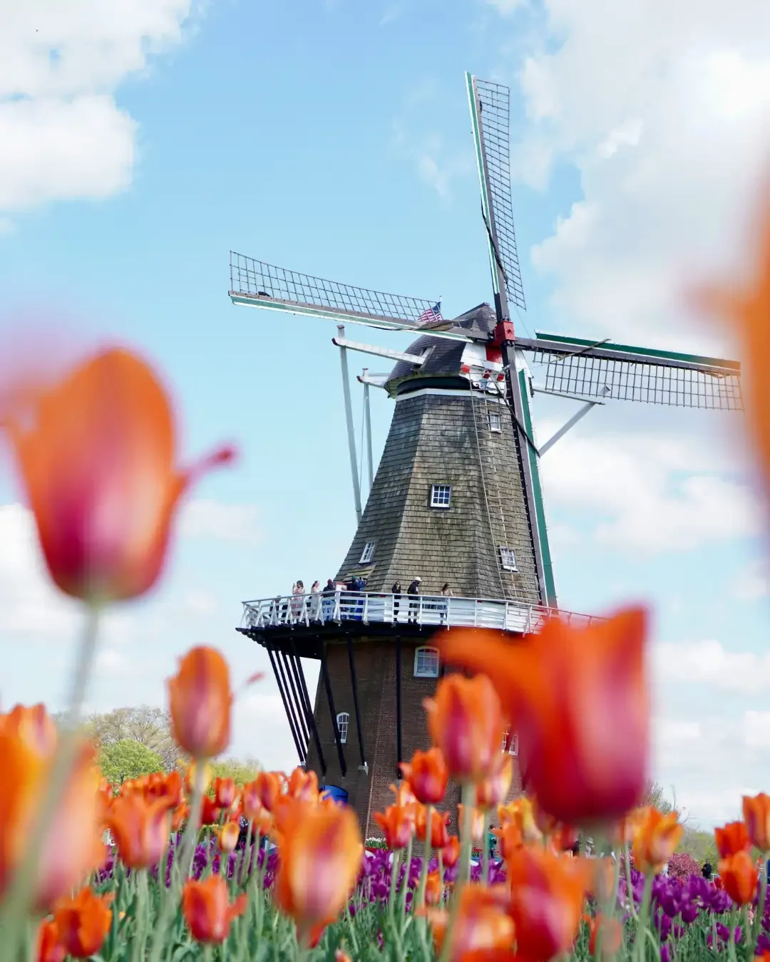 Keukenhof: Spring Tulip Wonderland