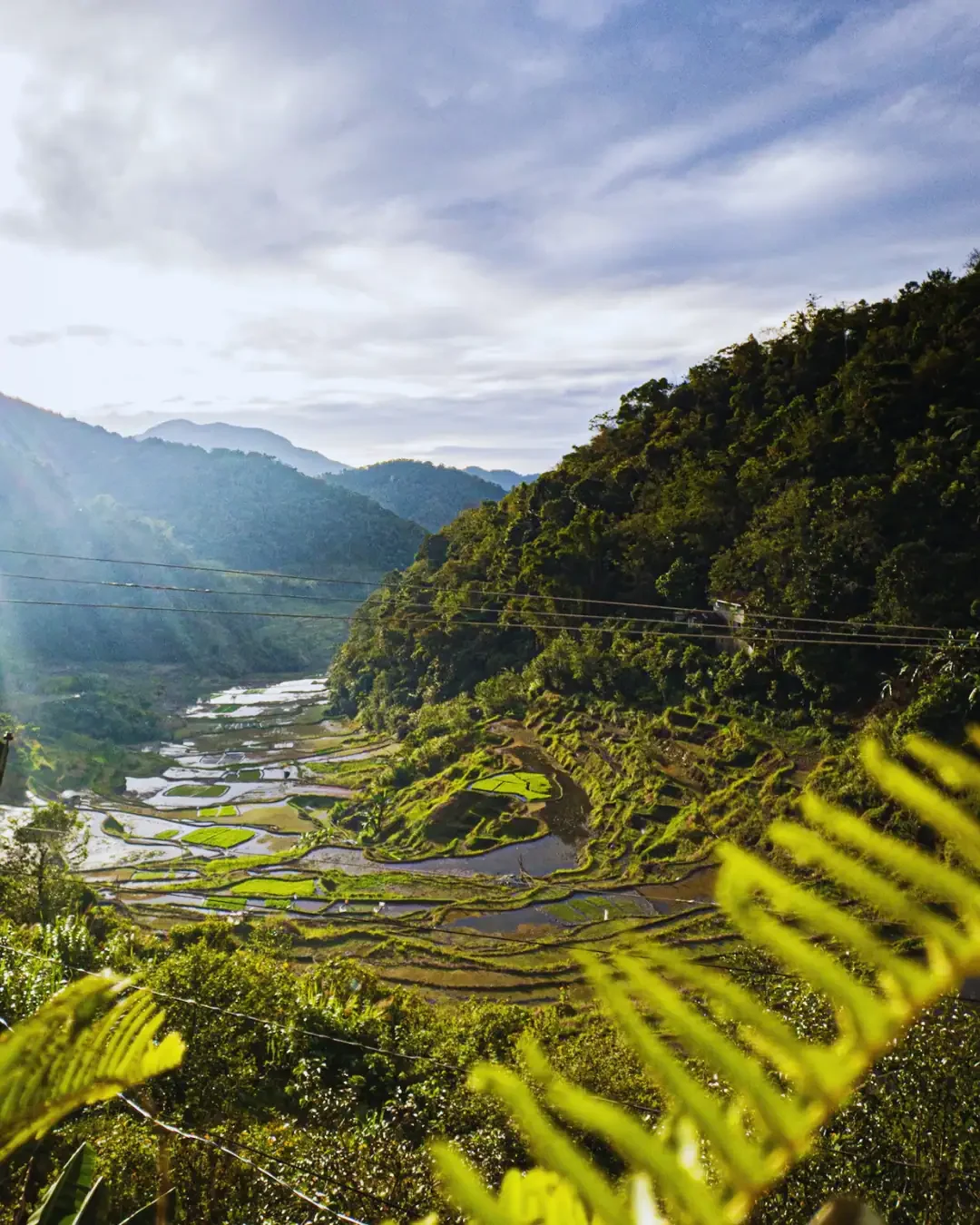 The Banaue Rice Terraces: Two Thousand Years of Living Sculpture
