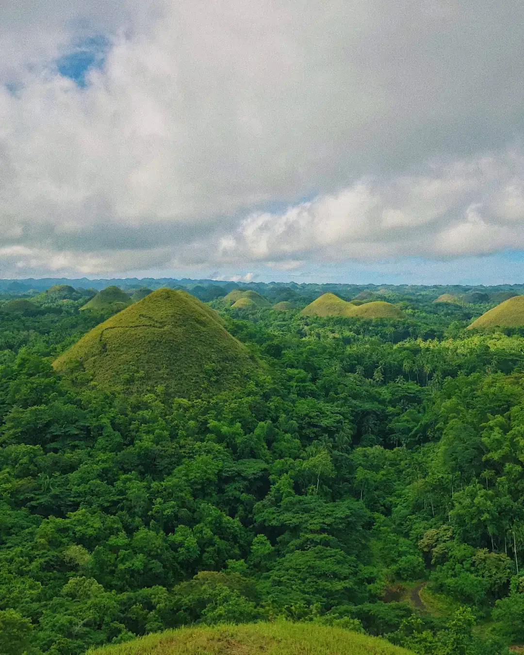 The Chocolate Hills: Bohol's Geological Confectionery
