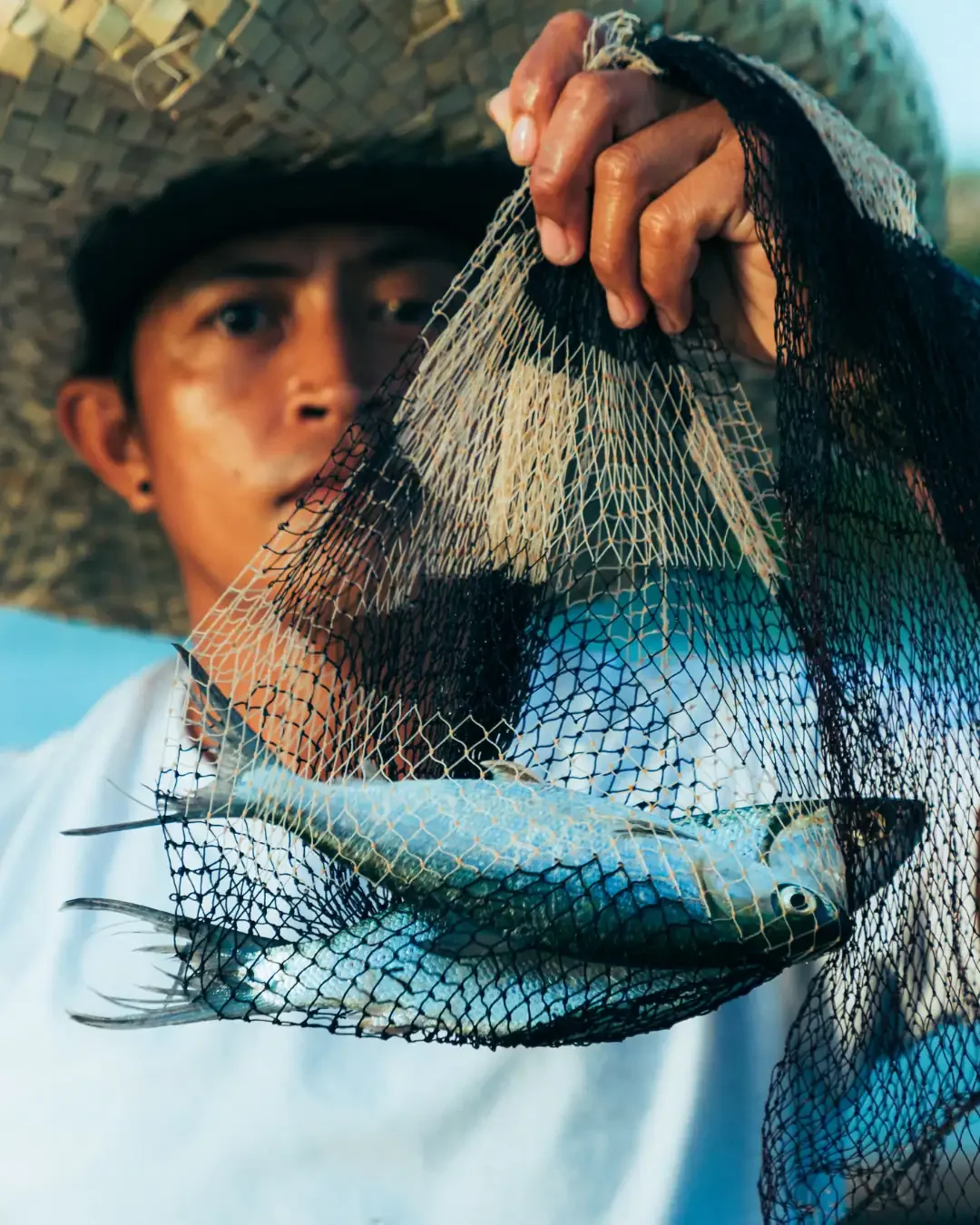 Overseas Filipino Workers: Heroes, Sacrifice, and the Economy of Love