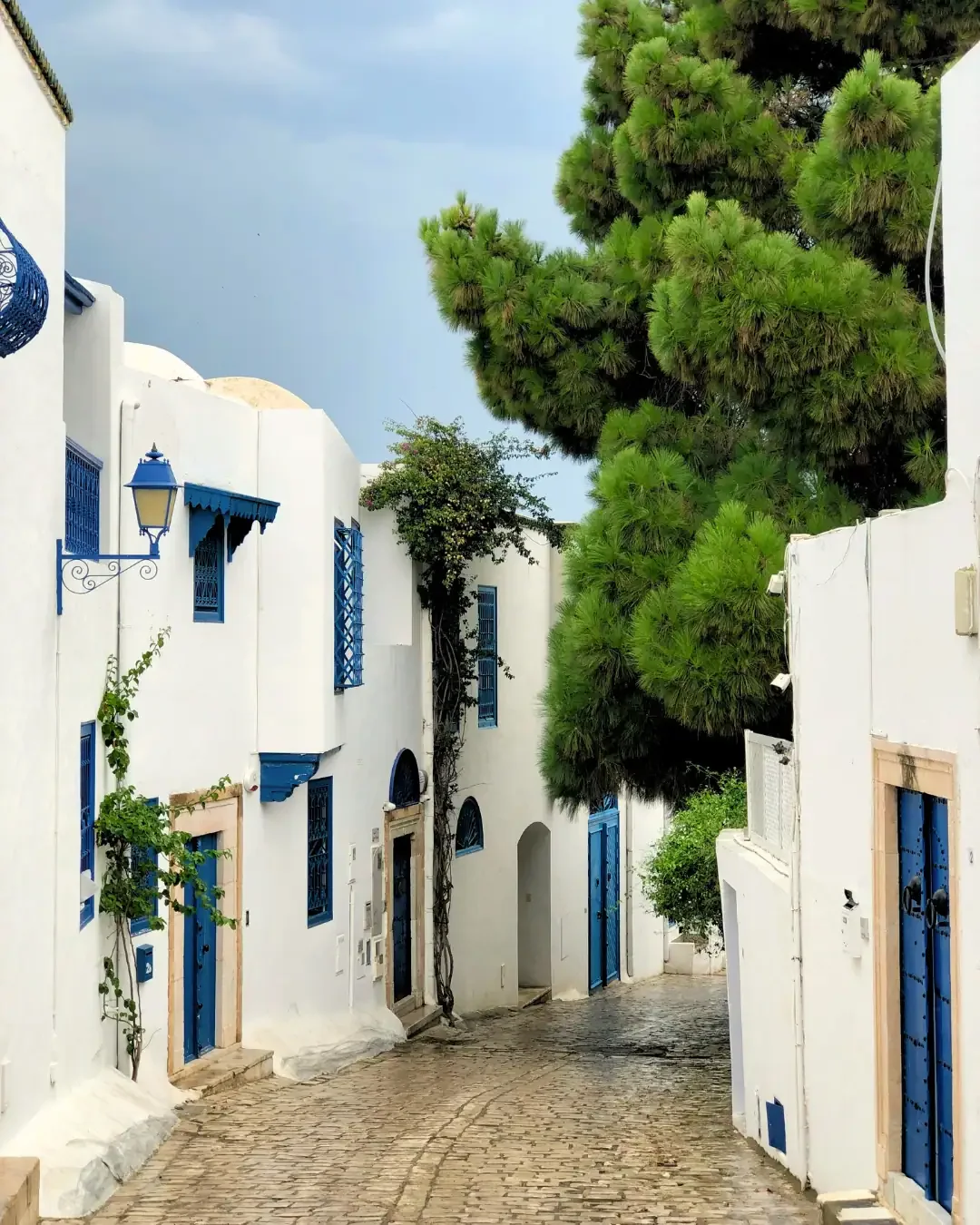 Sidi Bou Said: A Village Painted in Blue and White Dreams