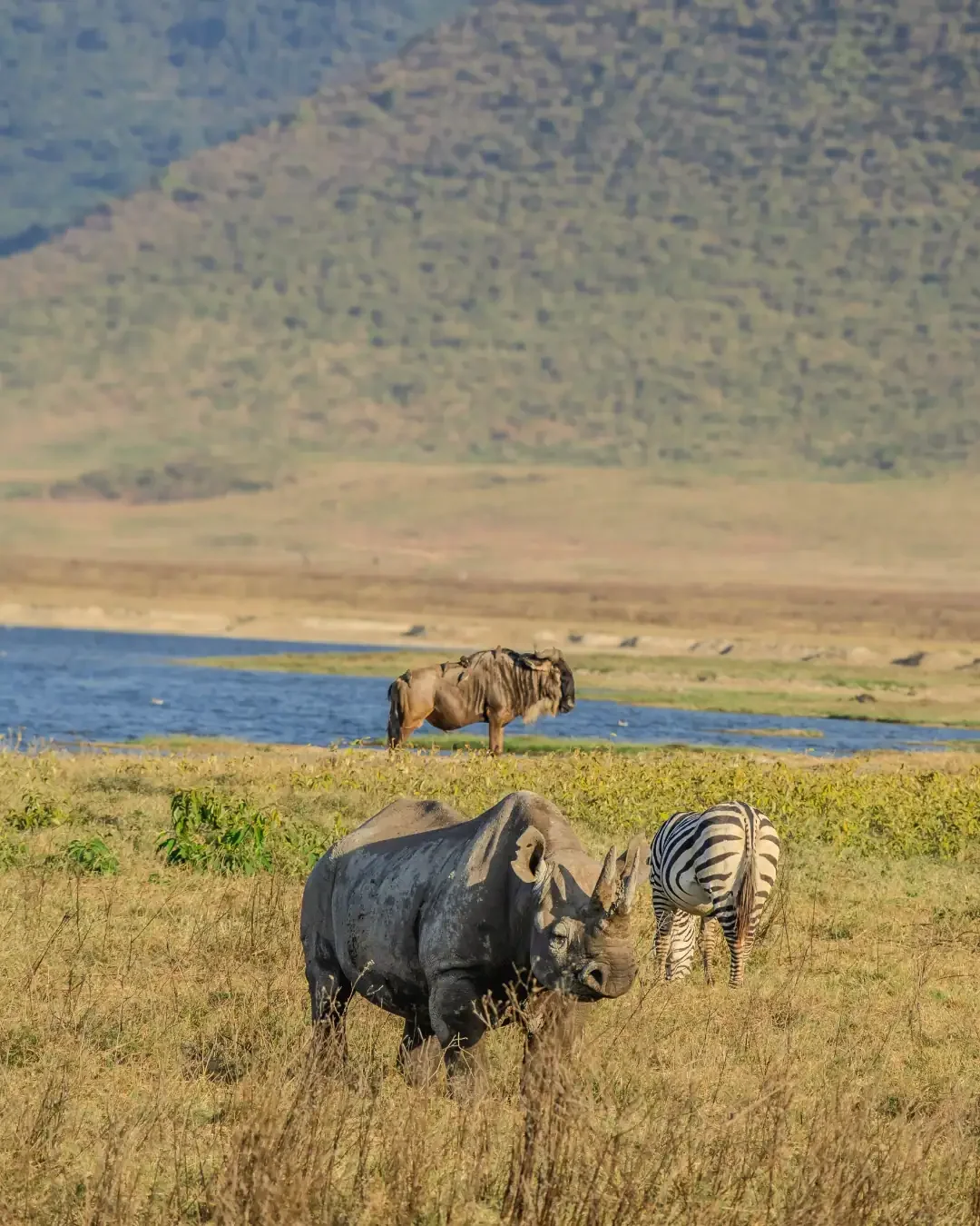 Ngorongoro Crater: The World's Largest Intact Caldera