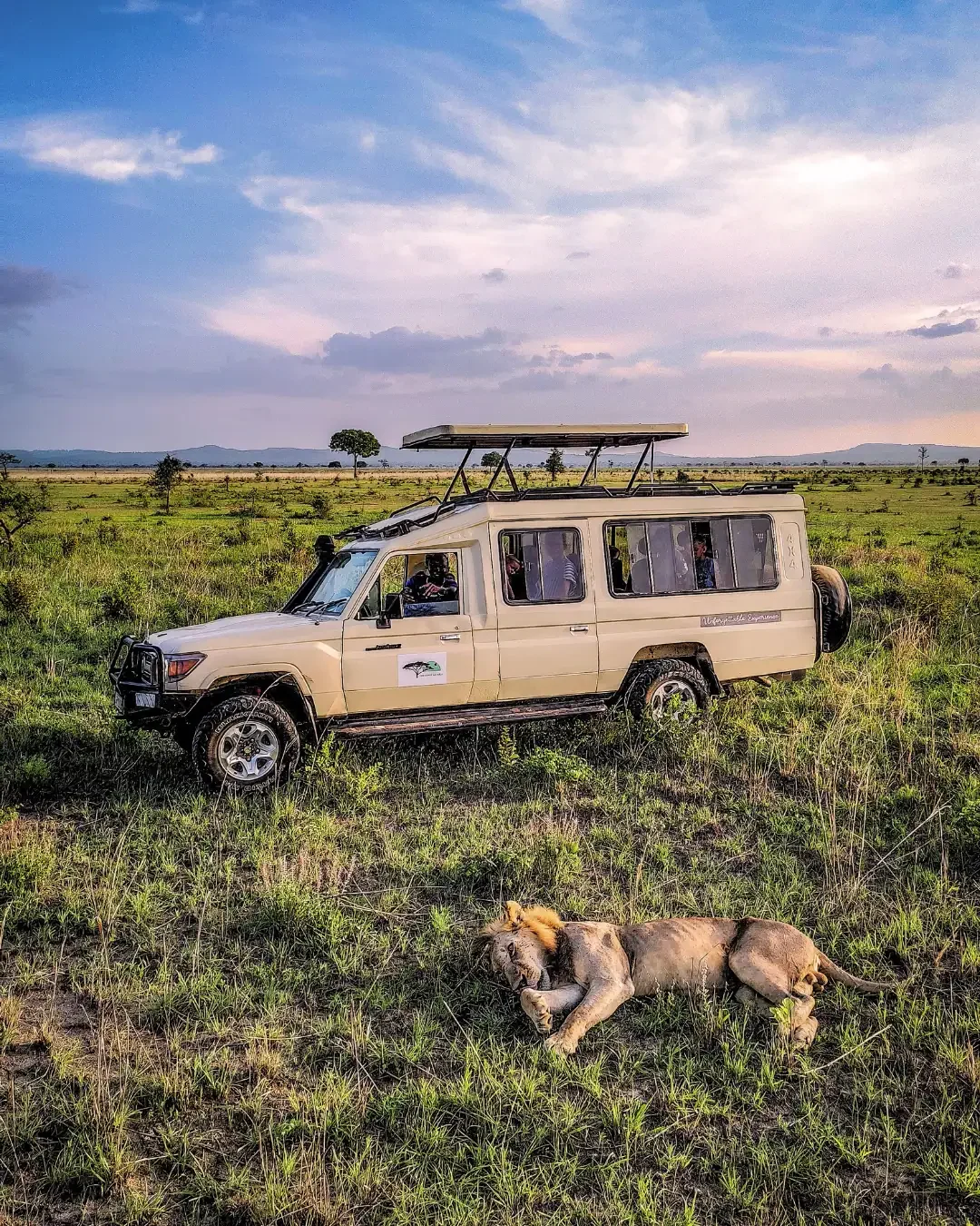 Safari Tourism: Serengeti and Ngorongoro Experiences
